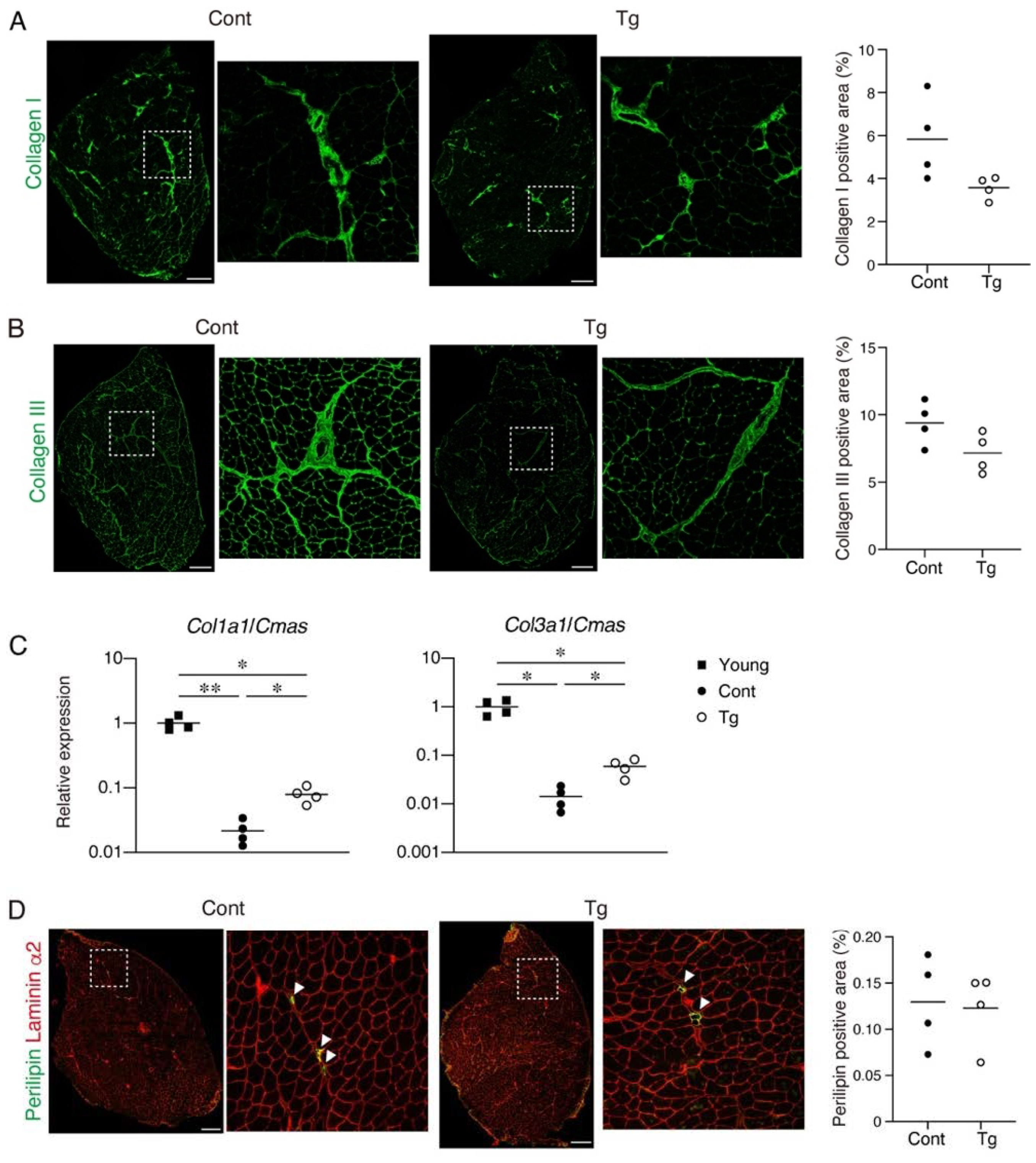 Ijms 22 10246 g003 550