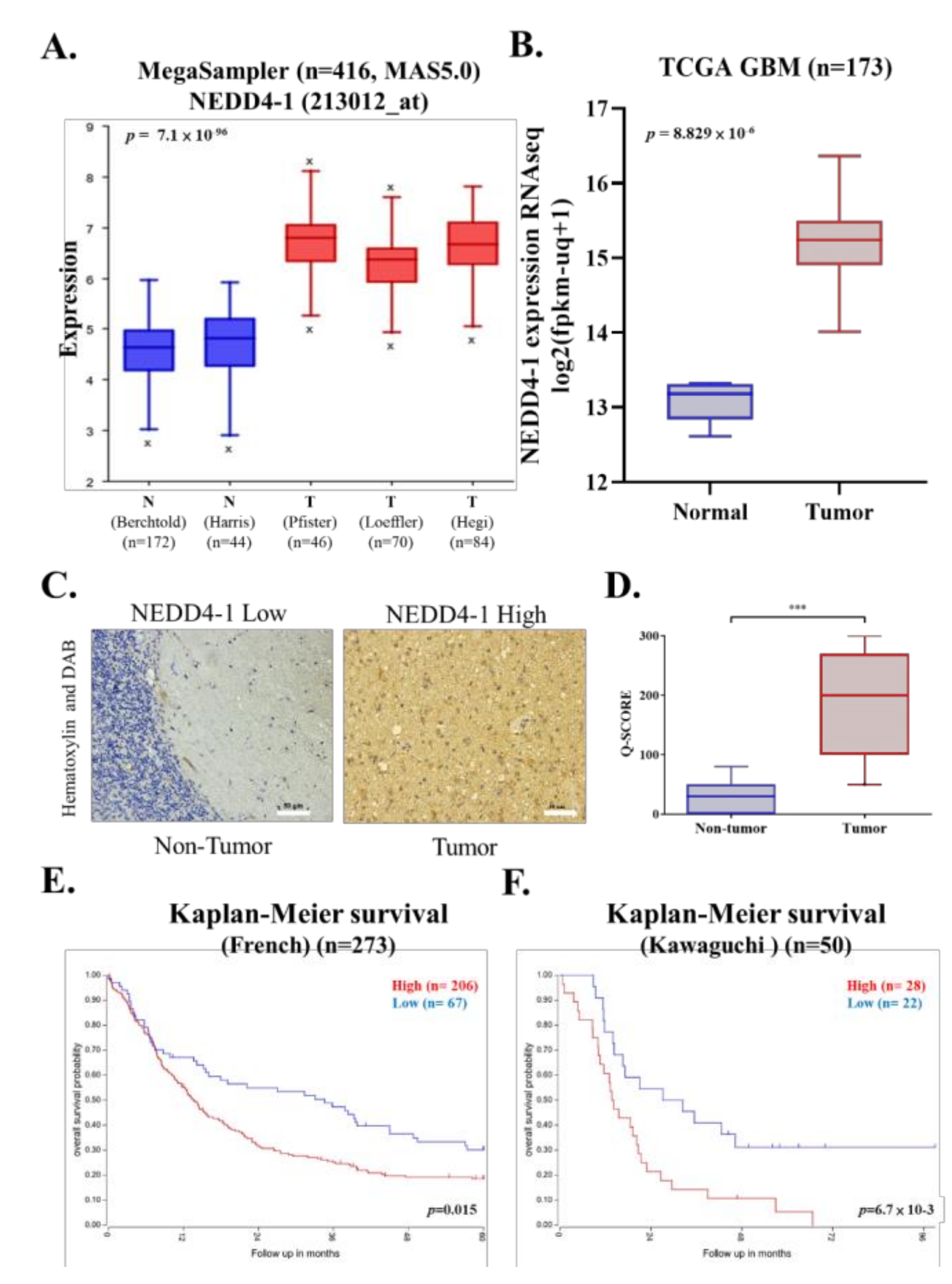 Ijms 22 10247 g001 550
