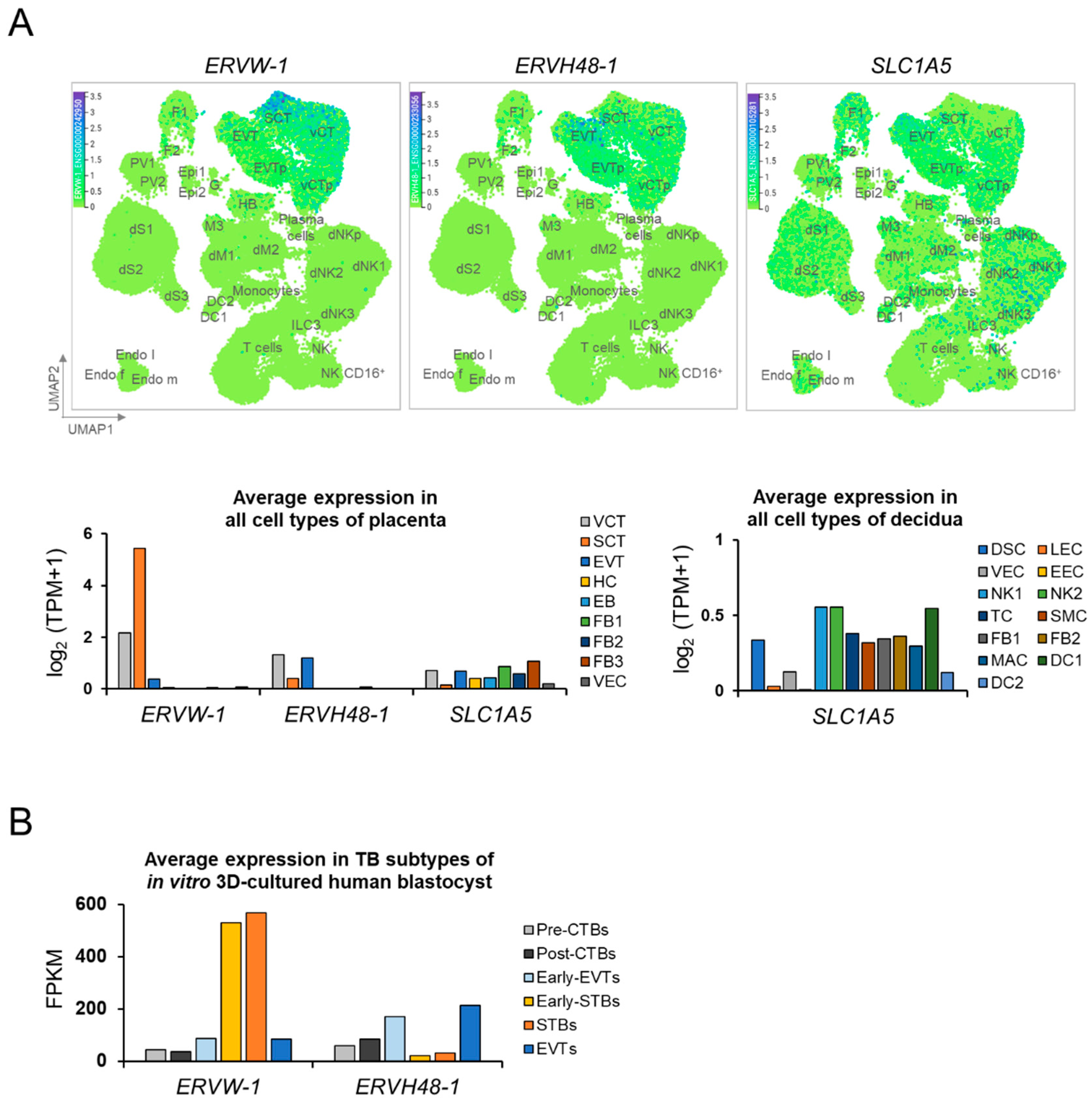Ijms 22 10259 g002 550