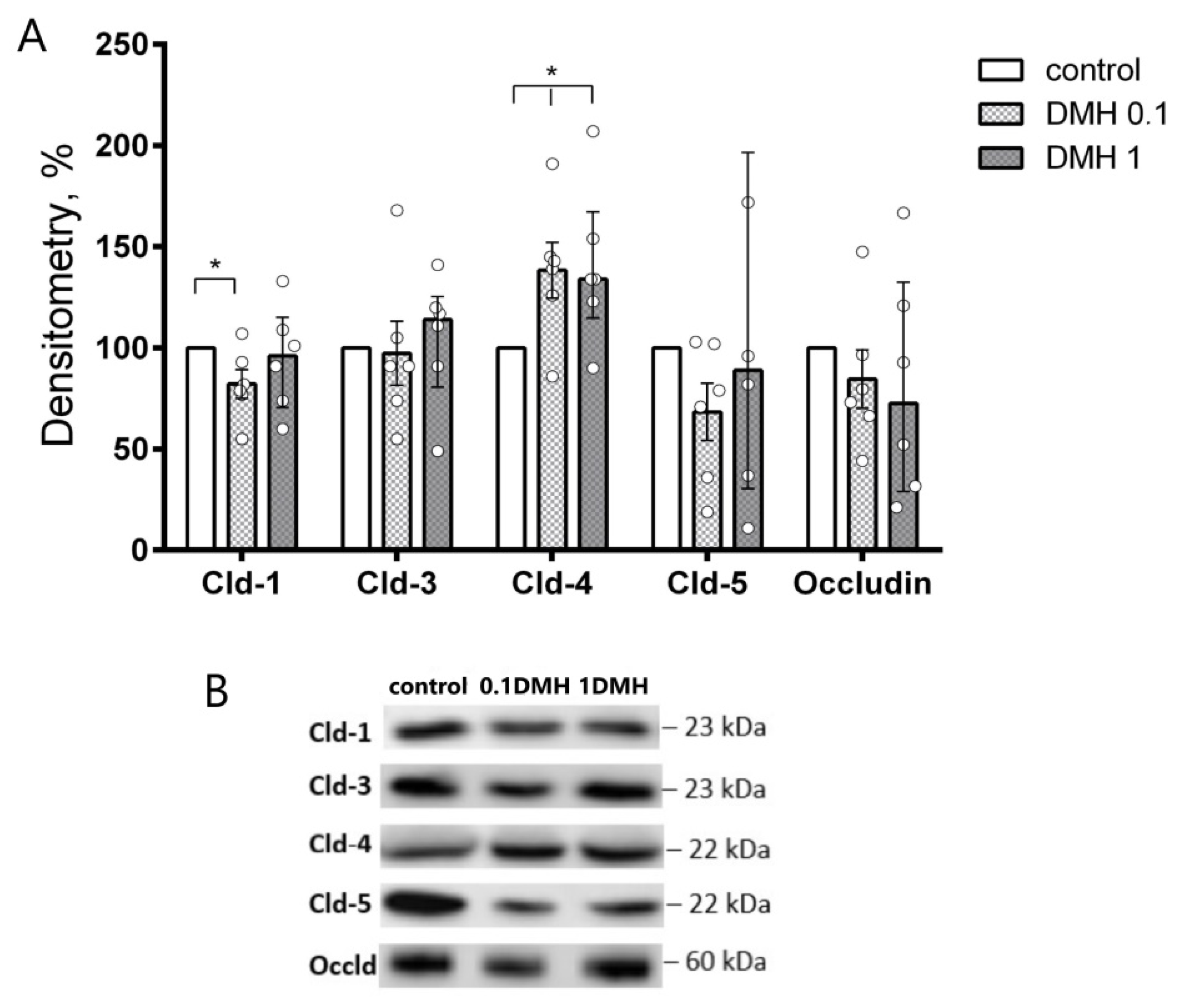 Ijms 22 10278 g004 550