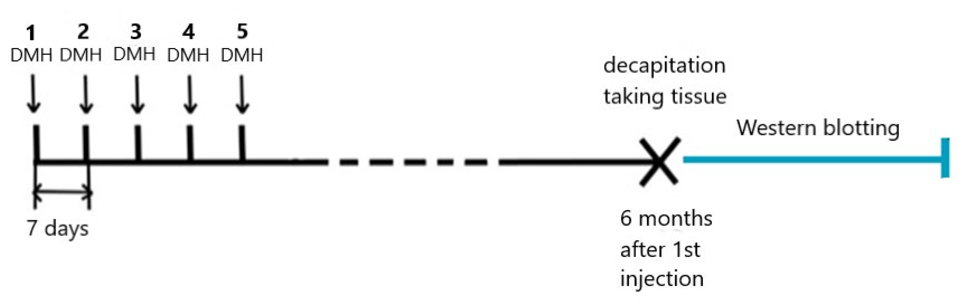 Ijms 22 10278 g005 550