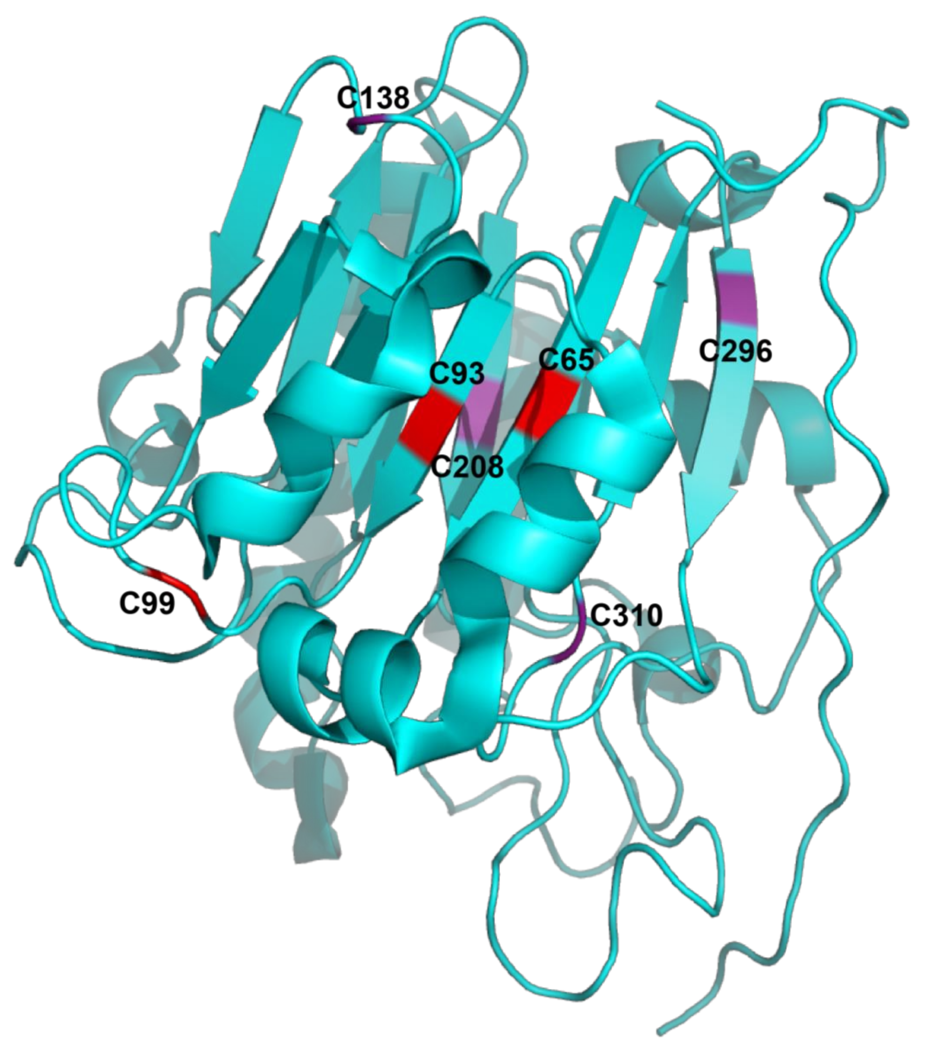 Ijms 22 10279 g002