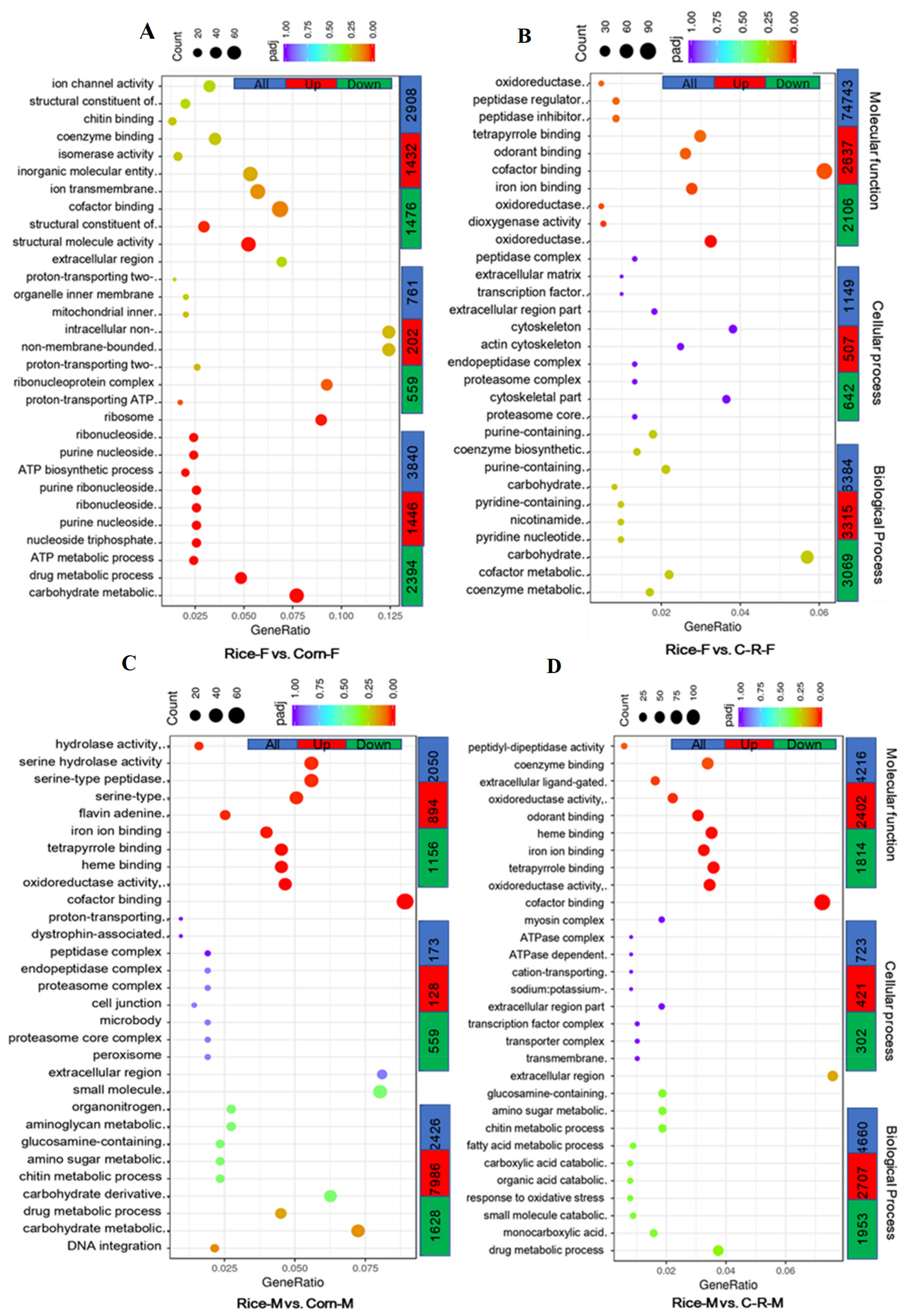 Ijms 22 10284 g009 550