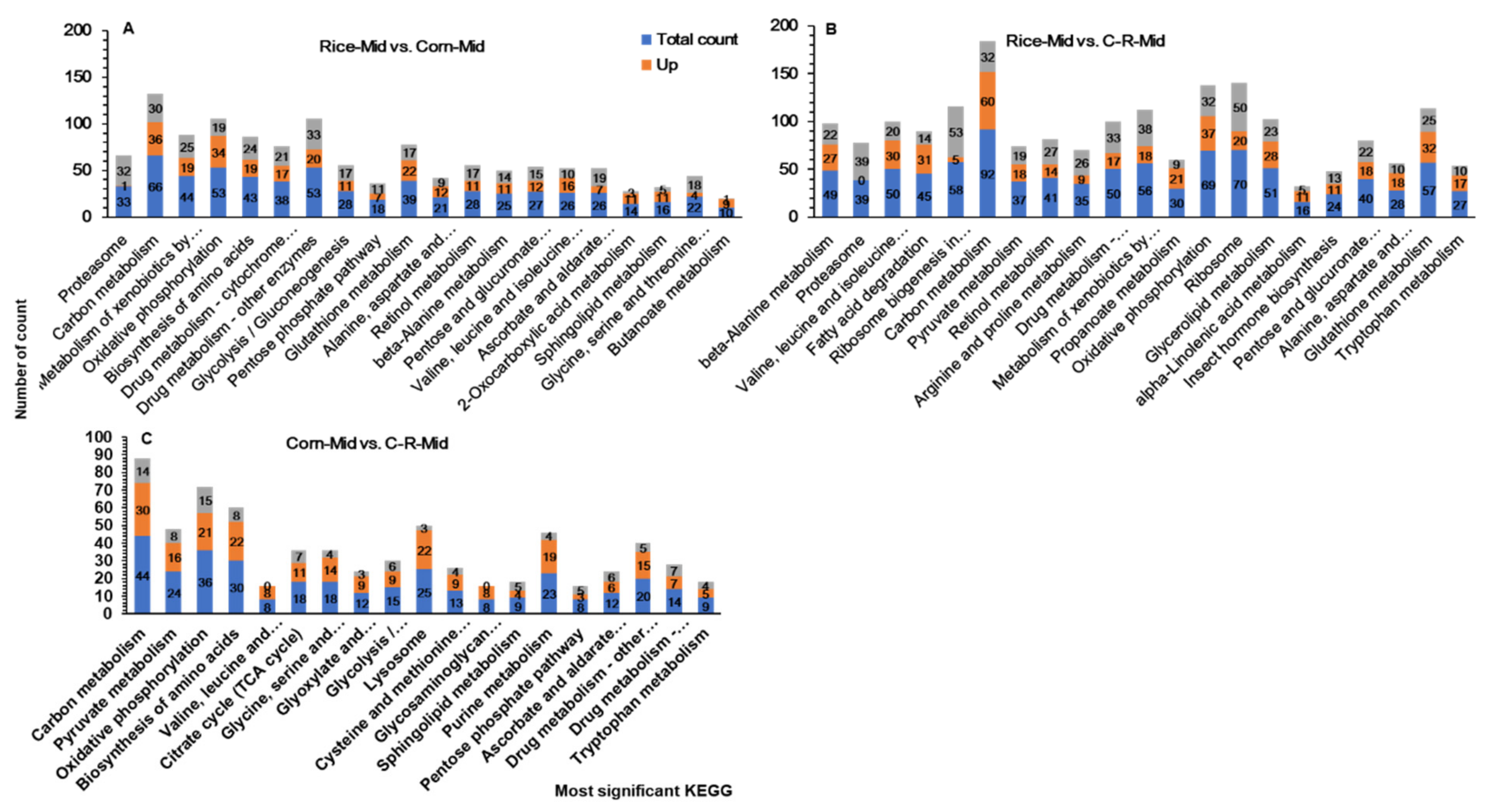Ijms 22 10284 g010 550