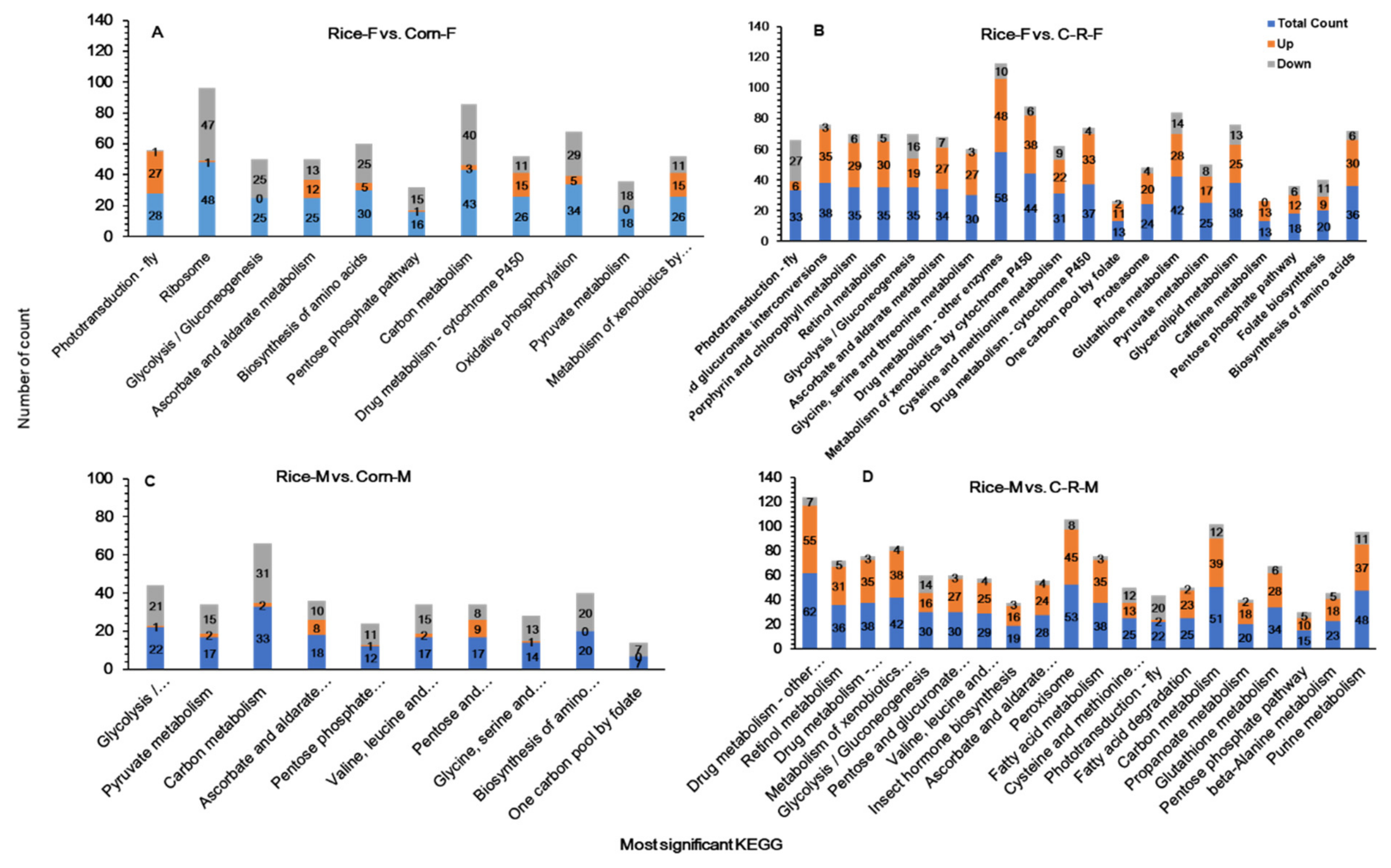 Ijms 22 10284 g011 550