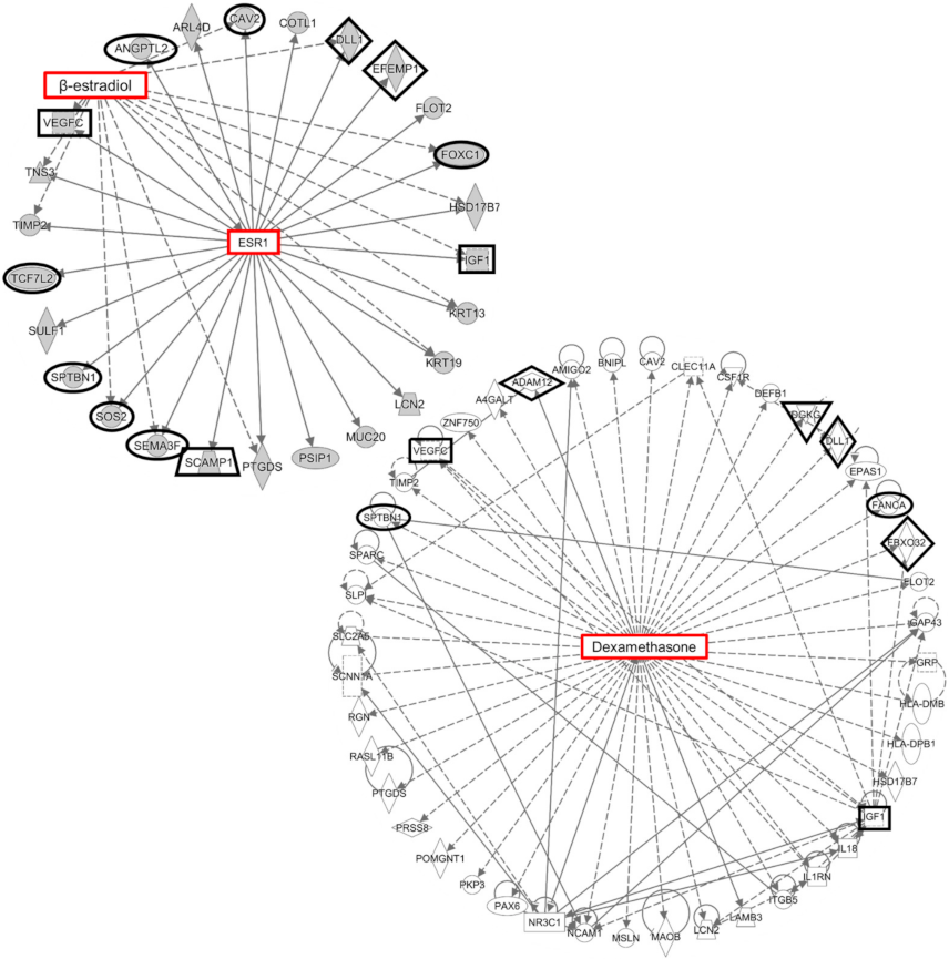 Ijms 22 10288 g005 Ijms 22 10288 g005