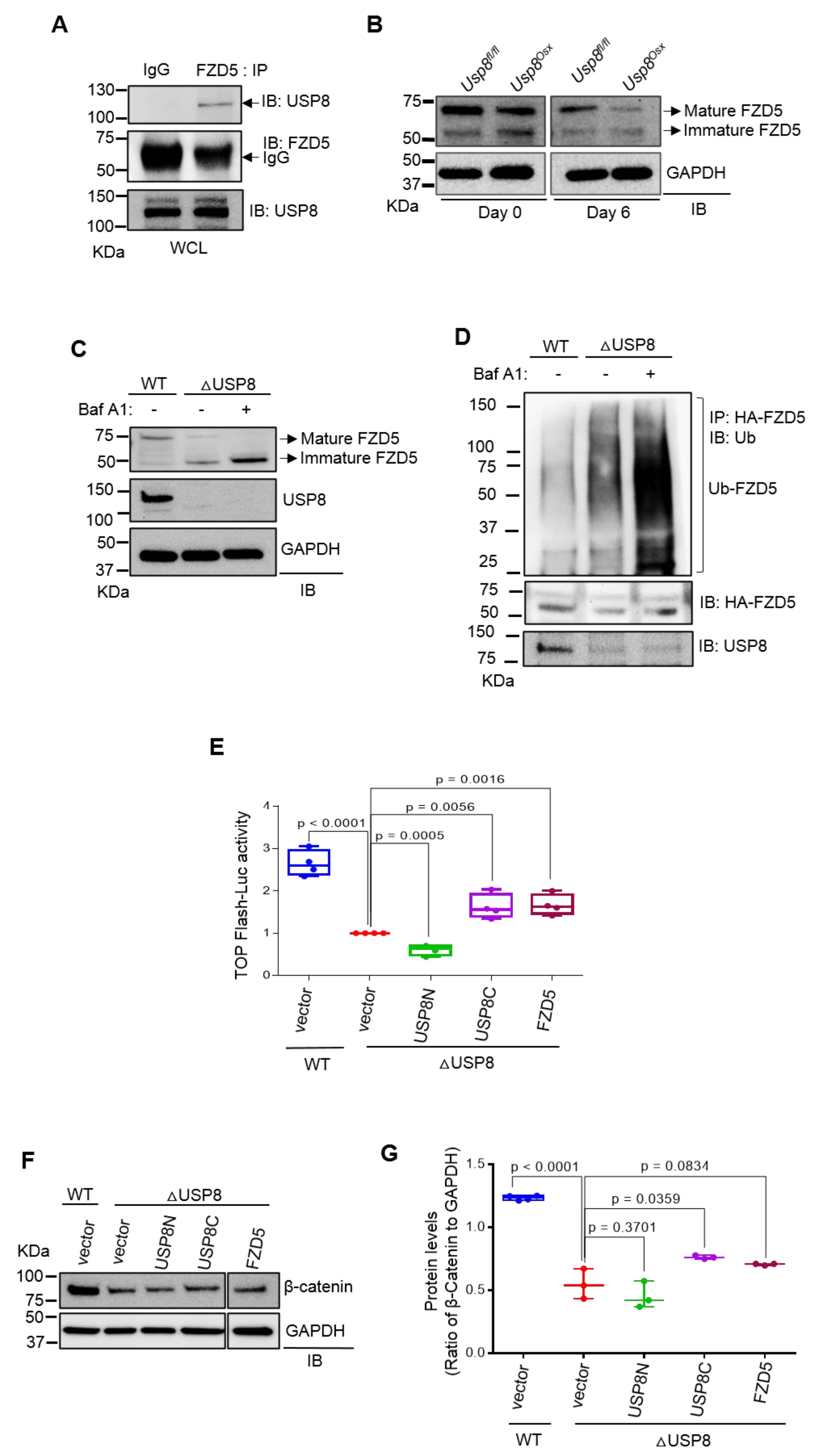 Ijms 22 10289 g002 Ijms 22 10289 g002