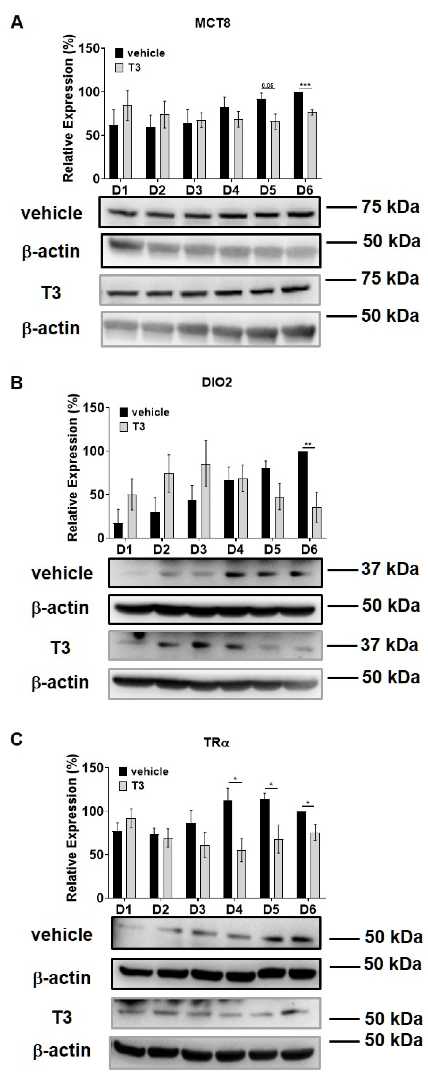 Ijms 22 10293 g002 Ijms 22 10293 g002