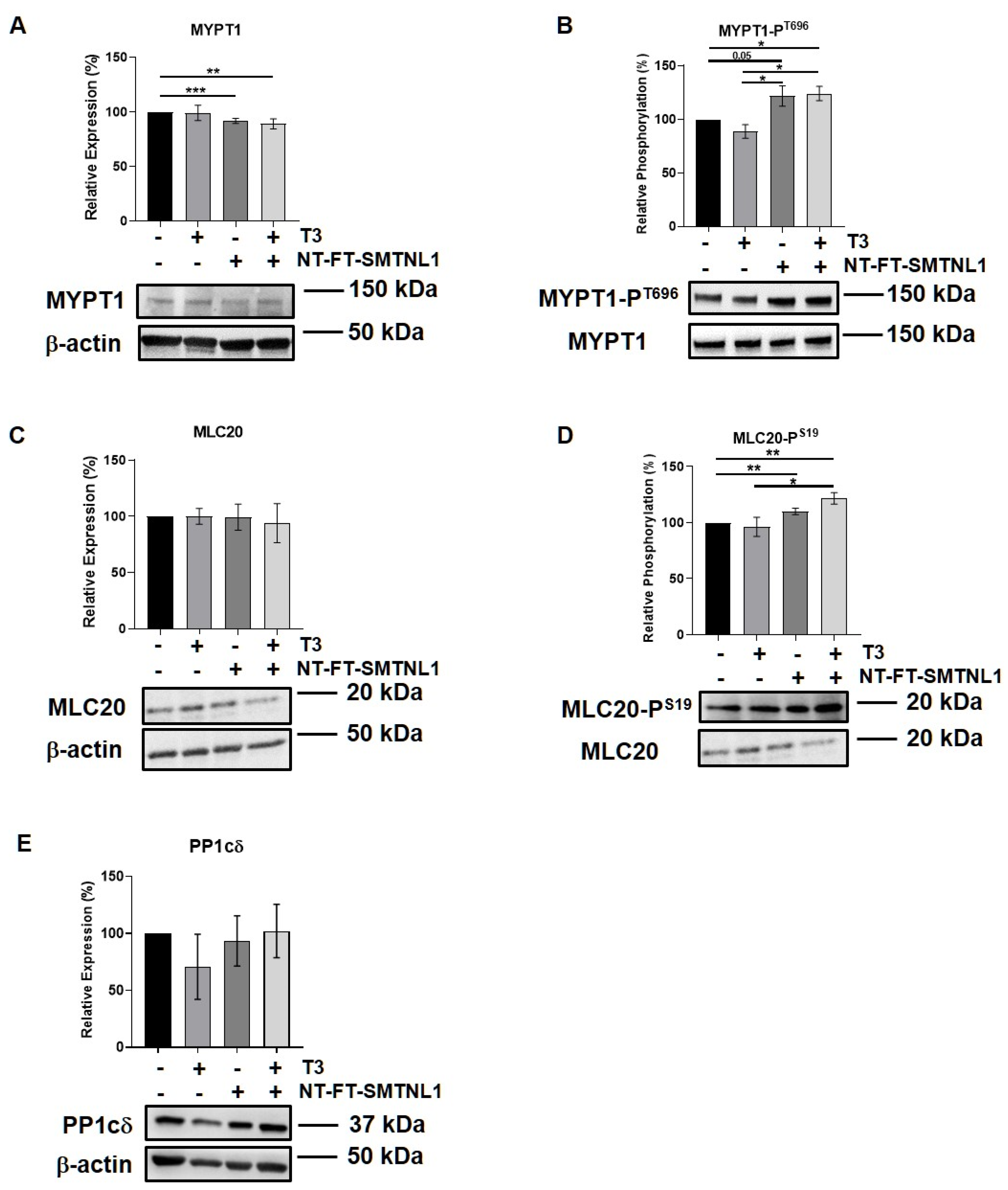 Ijms 22 10293 g004 Ijms 22 10293 g004