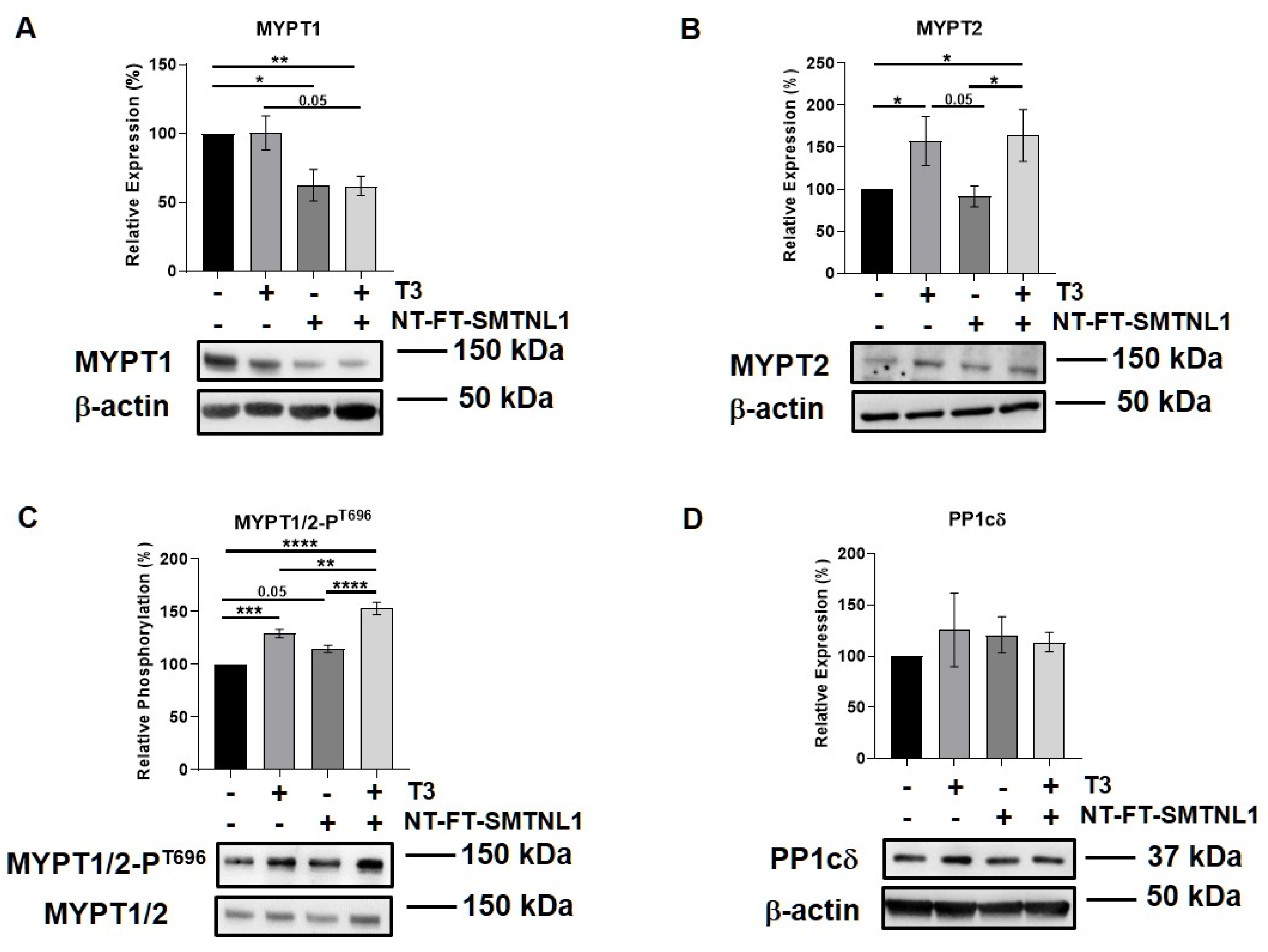 Ijms 22 10293 g006 Ijms 22 10293 g006