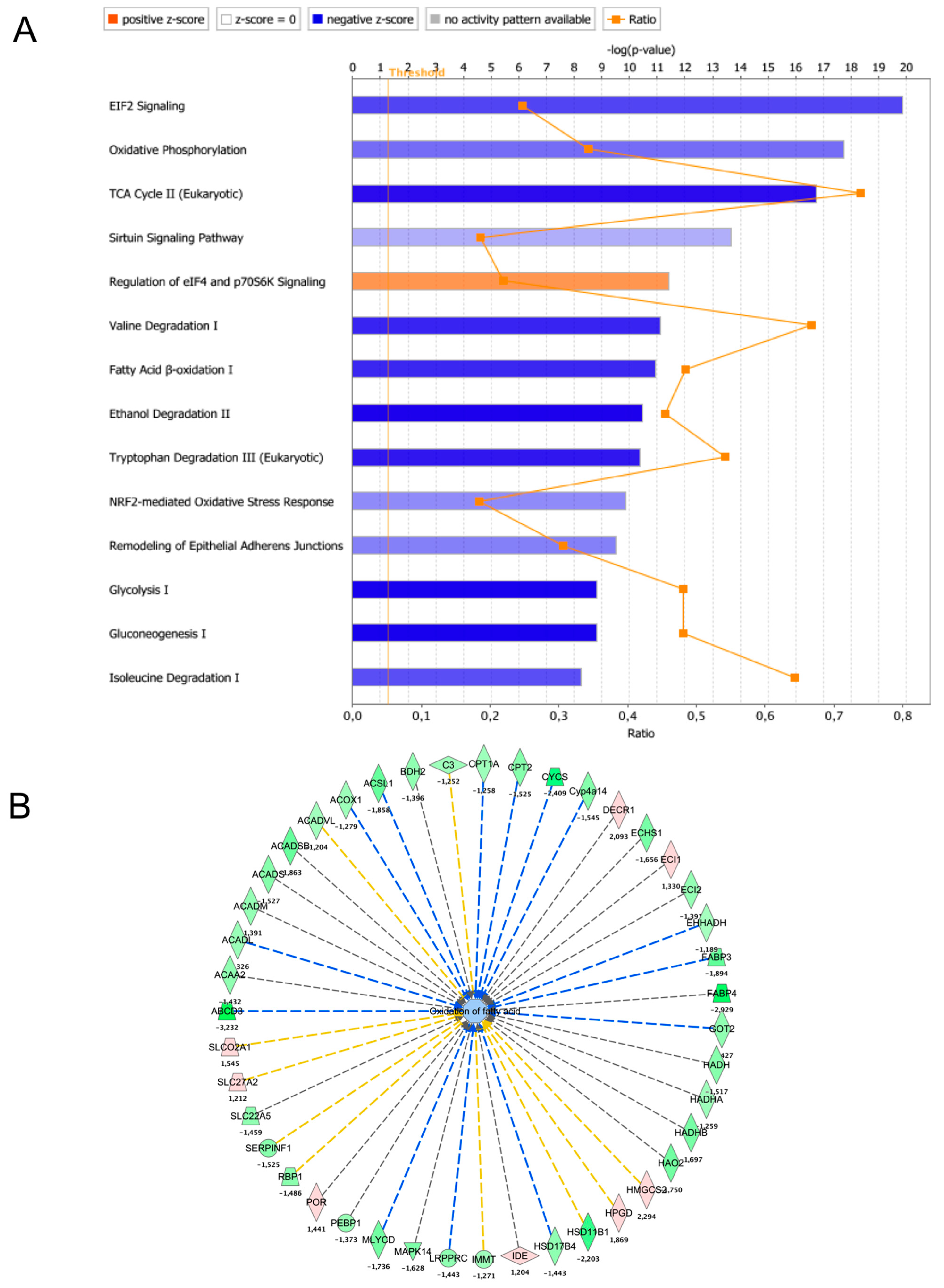 Ijms 22 10294 g004 550