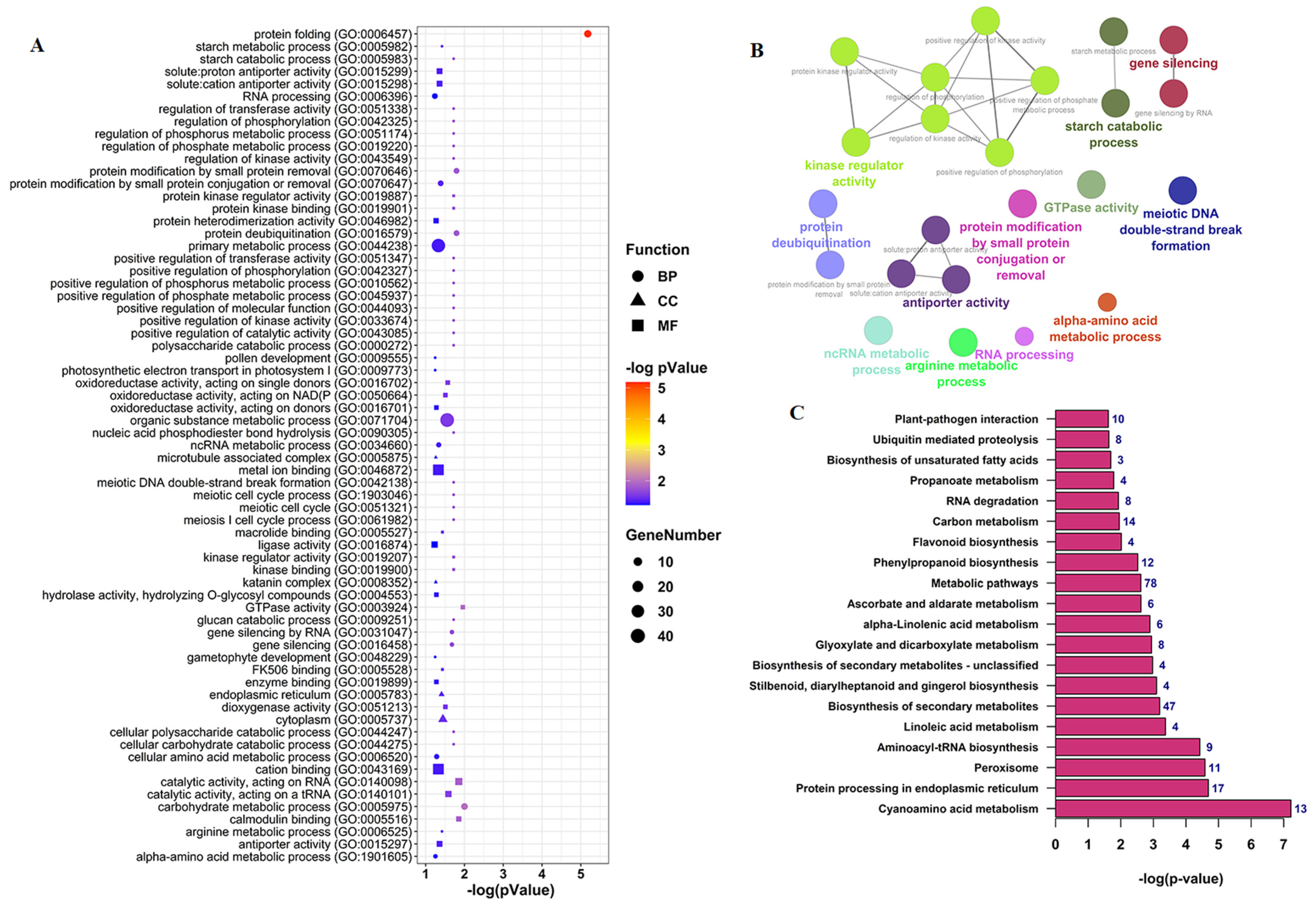 Ijms 22 10297 g005 550