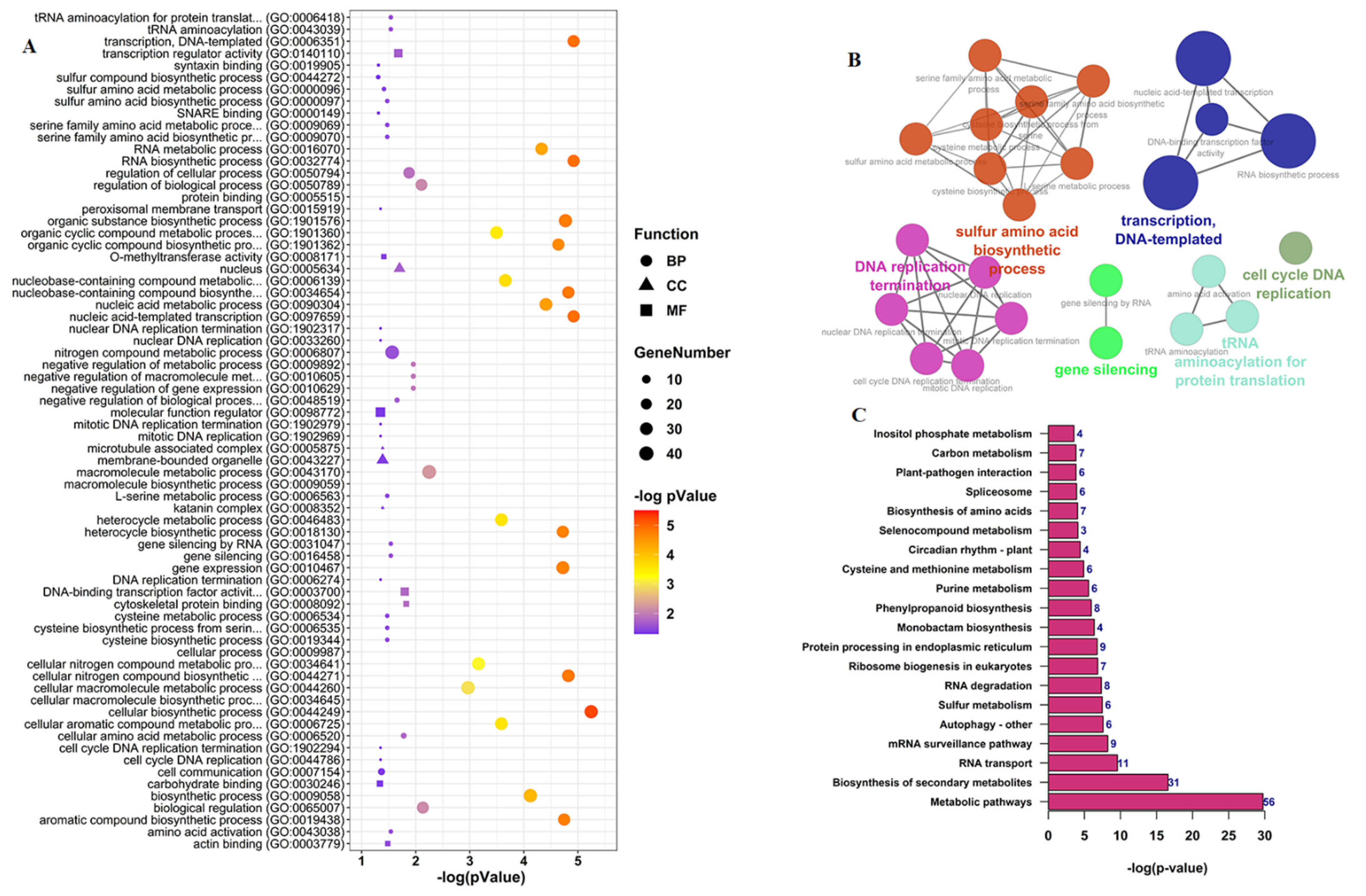 Ijms 22 10297 g007 550