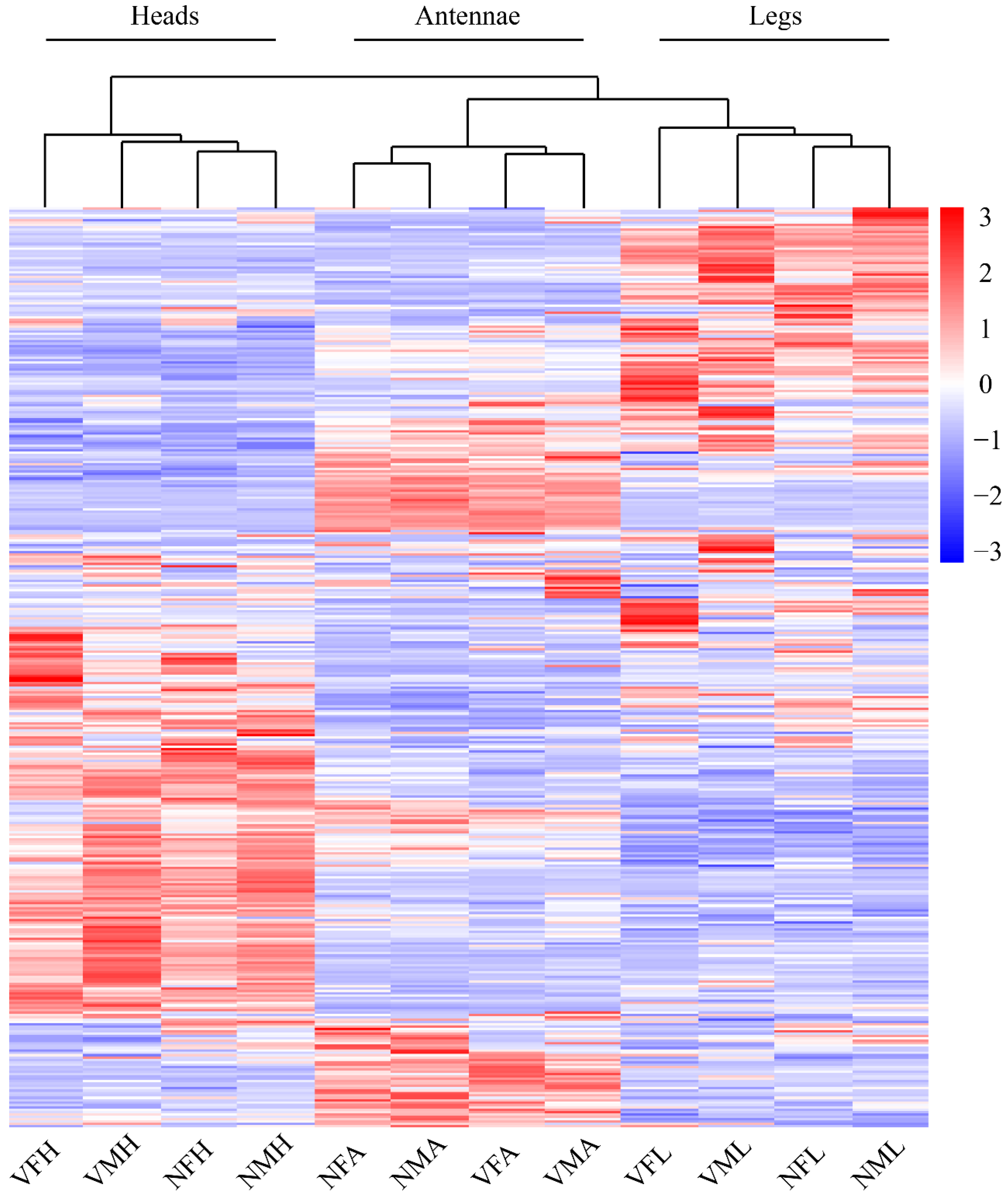 Ijms 22 10299 g003 550