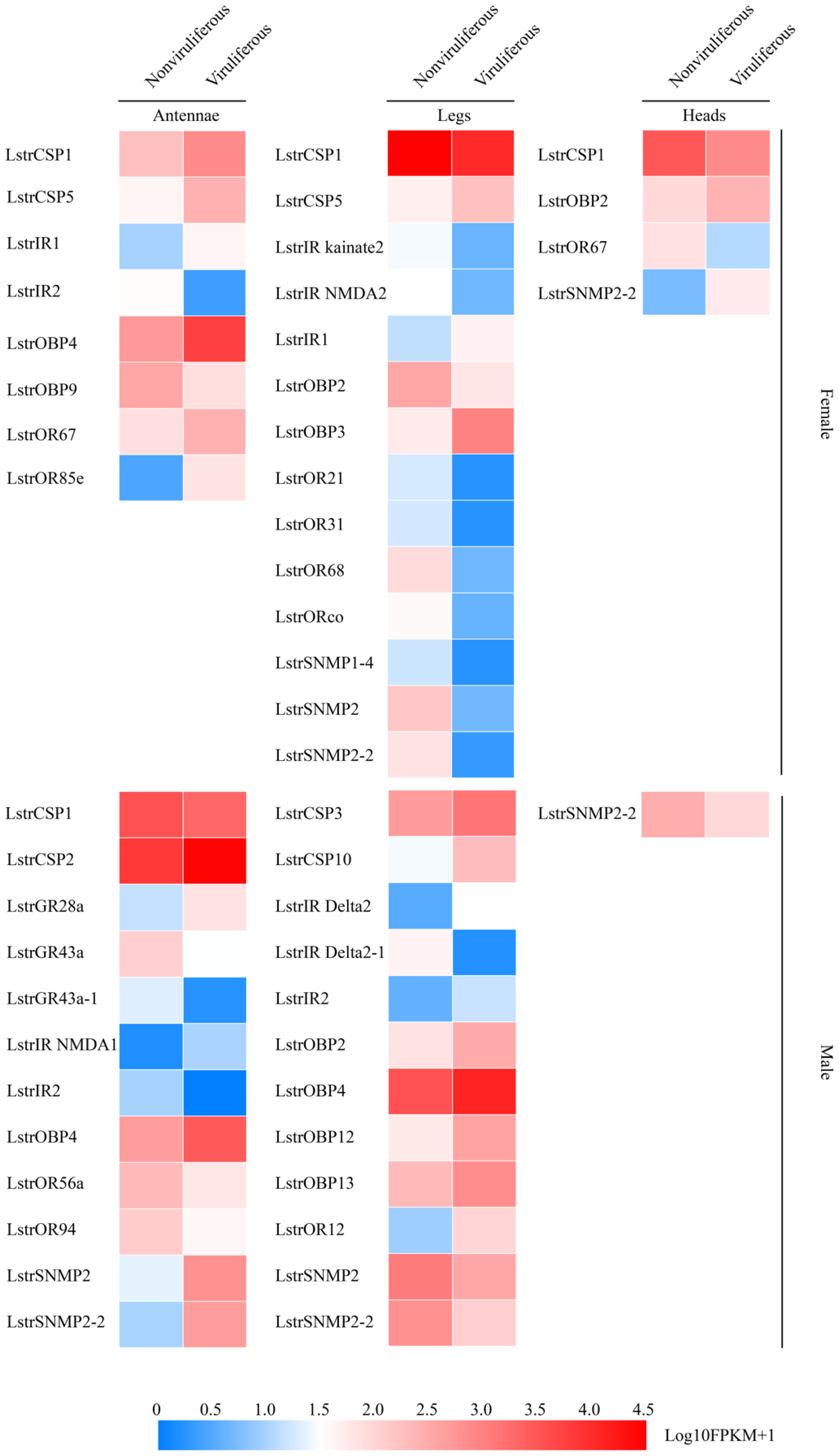 Ijms 22 10299 g006 550