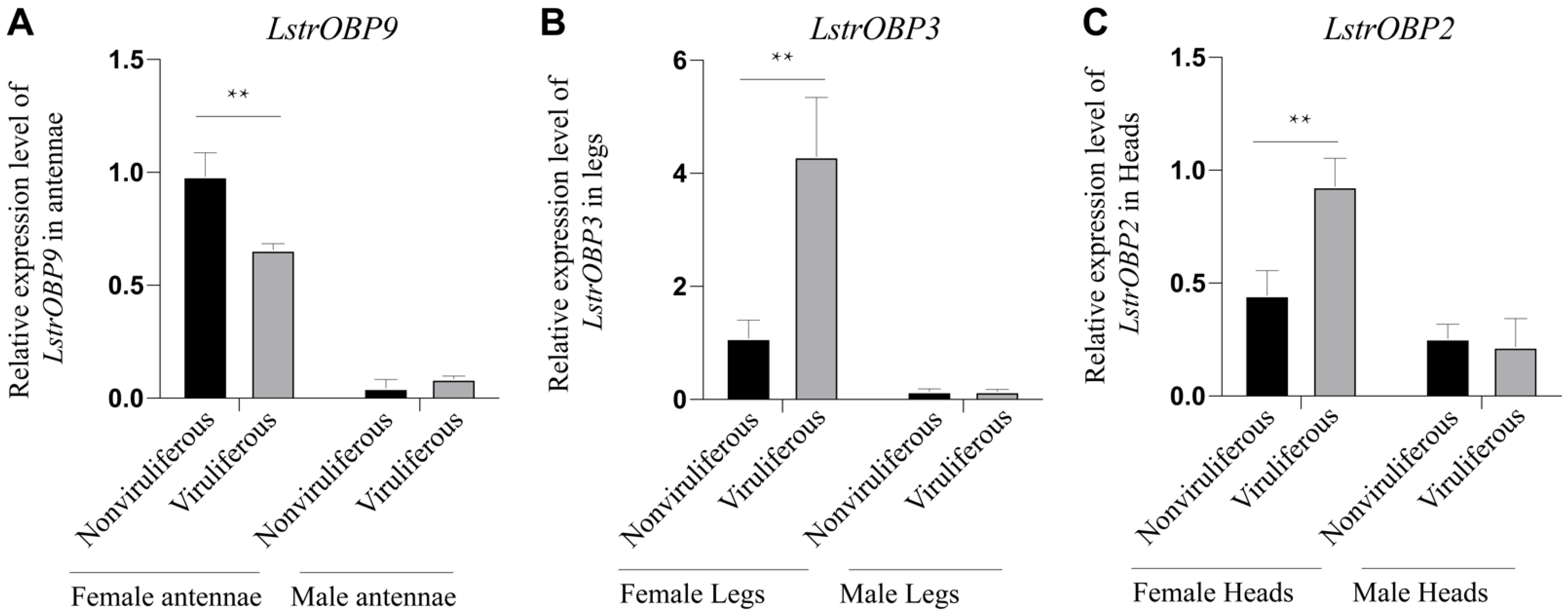Ijms 22 10299 g007 550