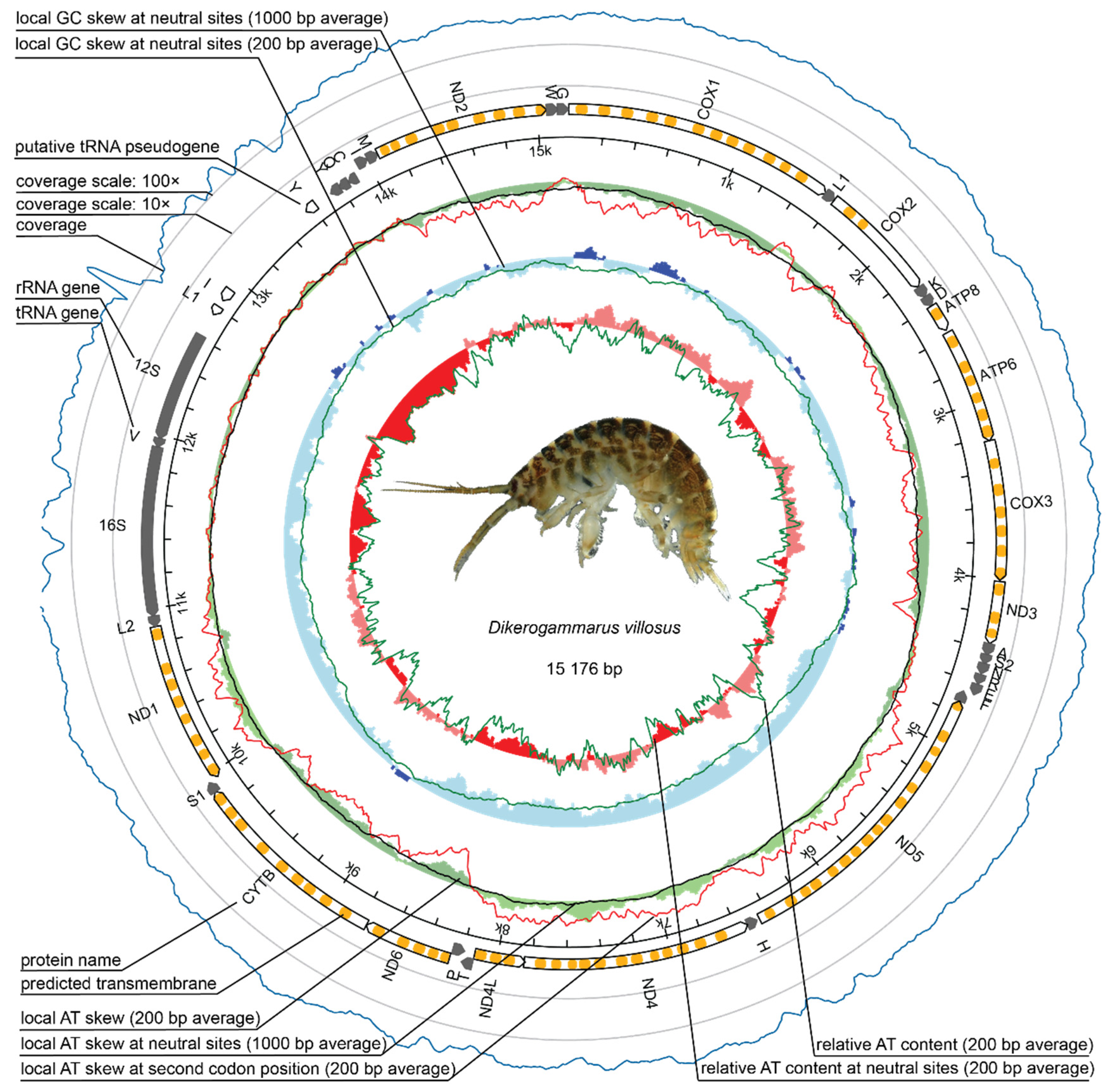 Ijms 22 10300 g001 Ijms 22 10300 g001