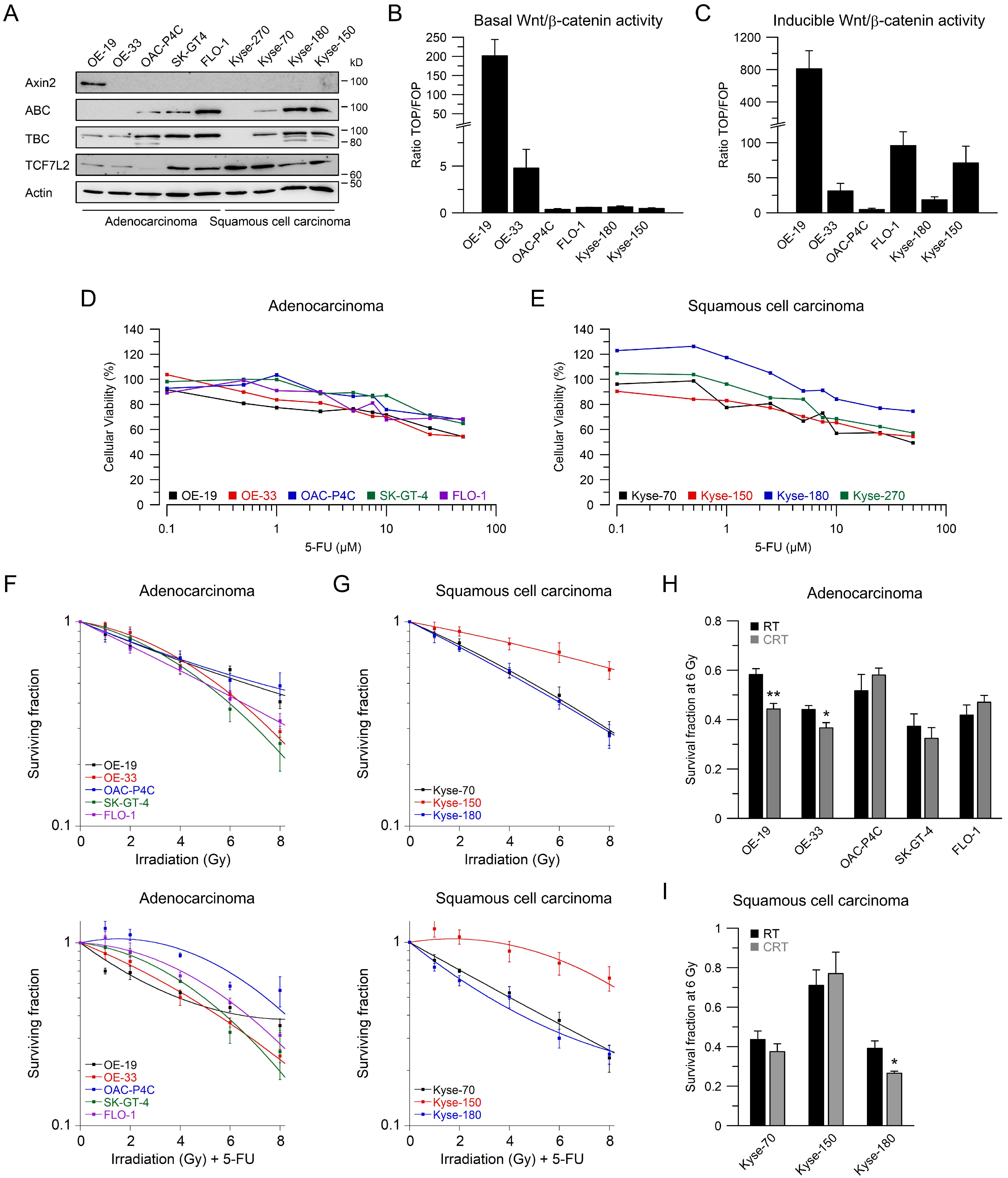 Ijms 22 10301 g001 550