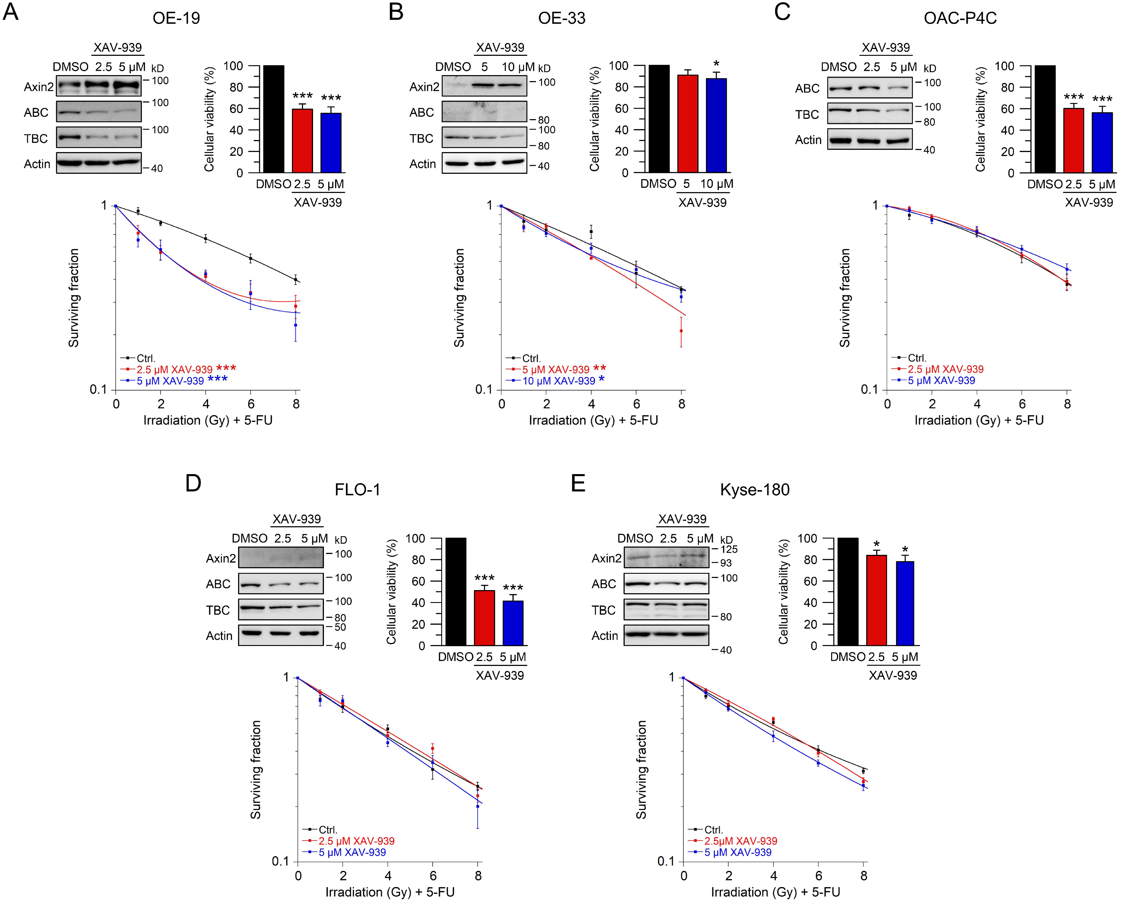 Ijms 22 10301 g004 550