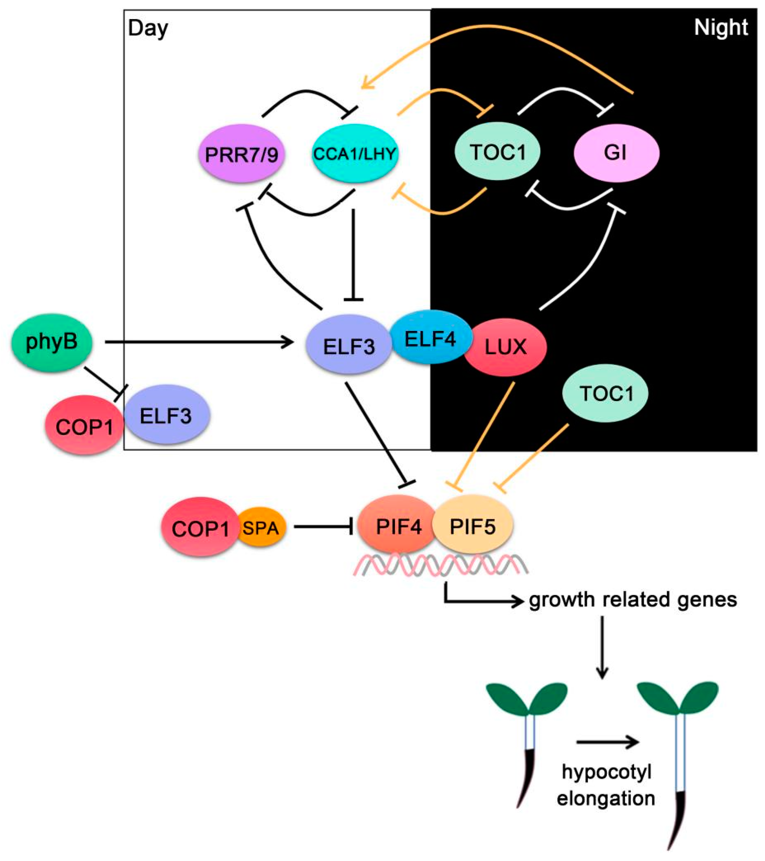 Ijms 22 10304 g003 550