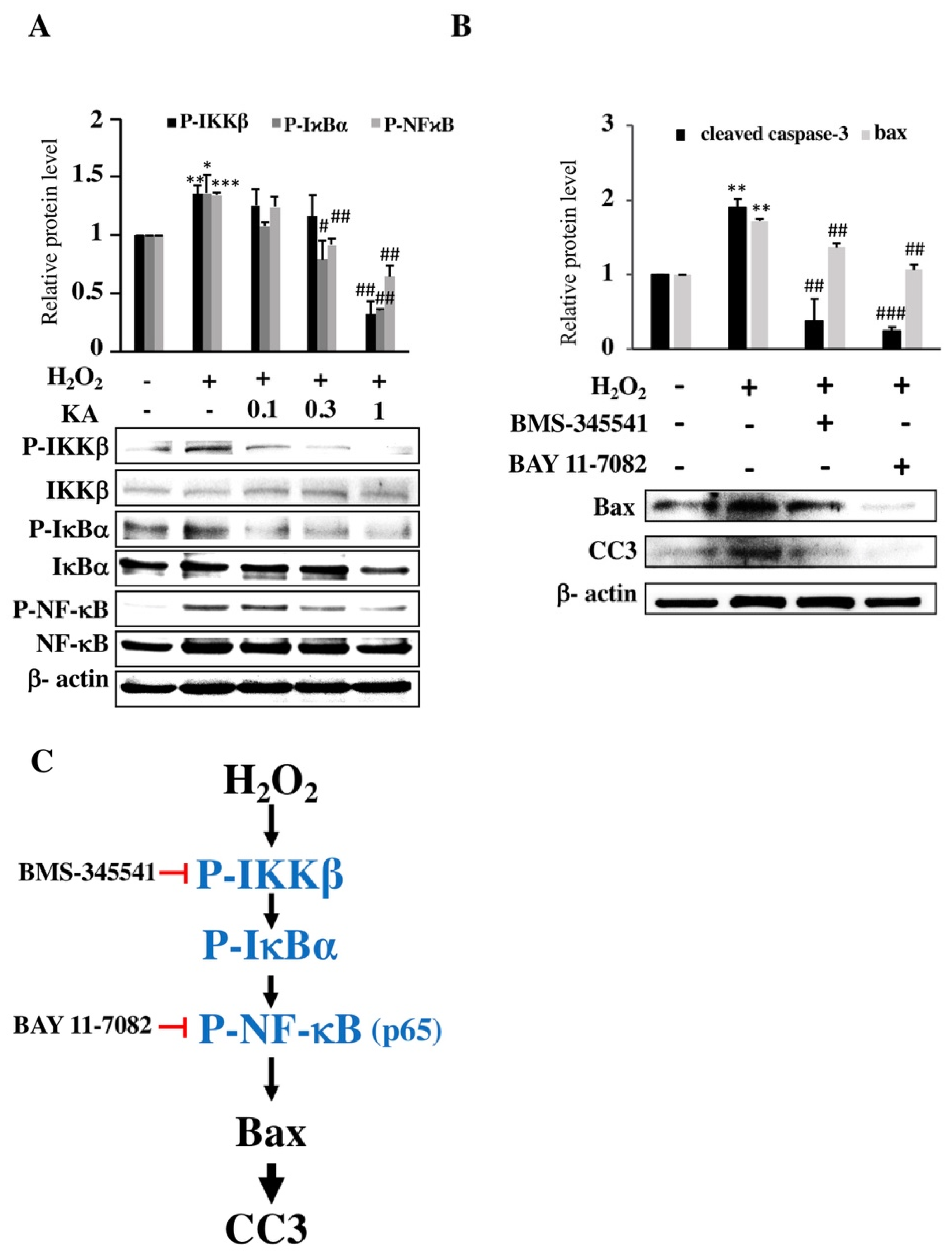 Ijms 22 10309 g003 550