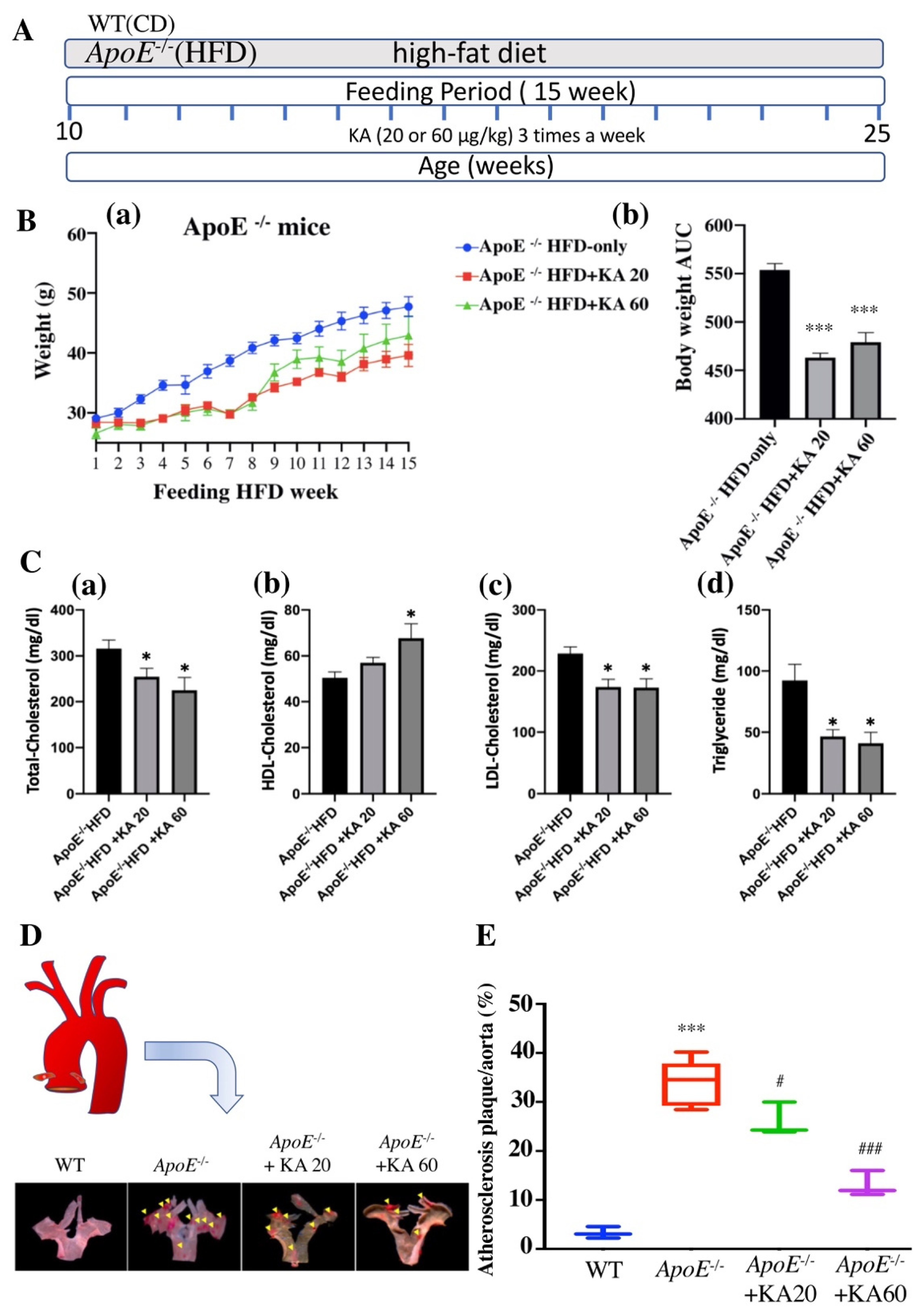 Ijms 22 10309 g004 550