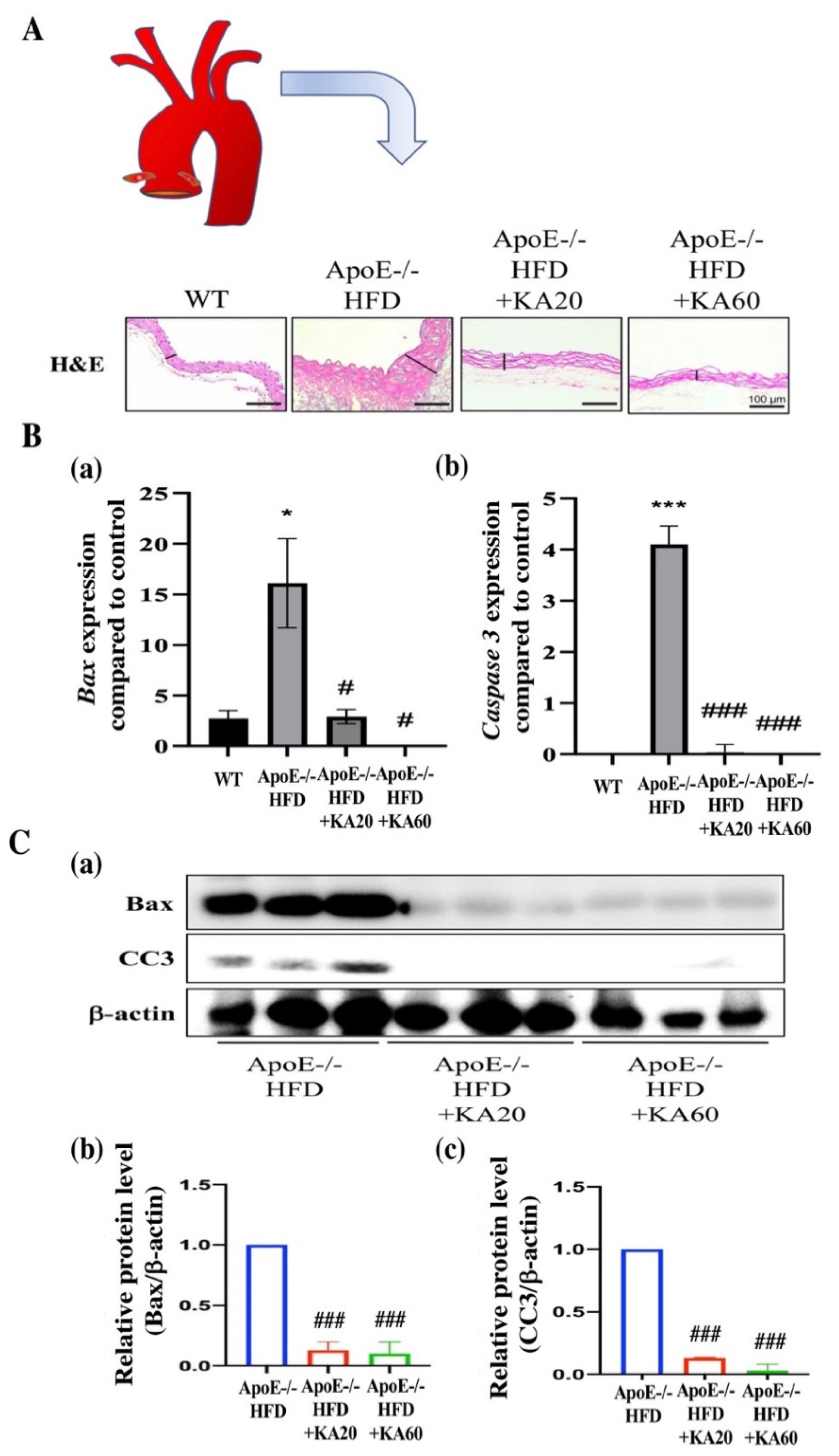 Ijms 22 10309 g005 550