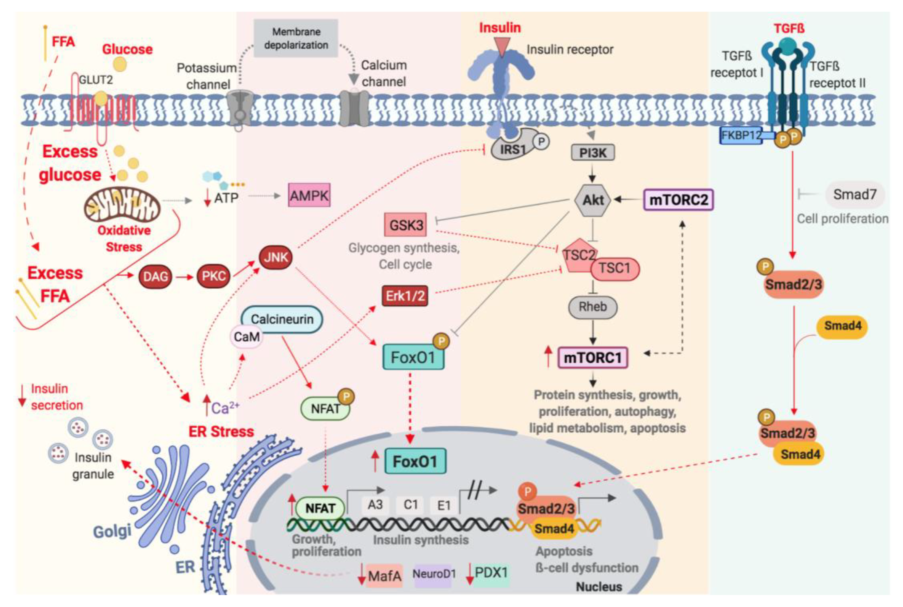 Ijms 22 10311 g002 550