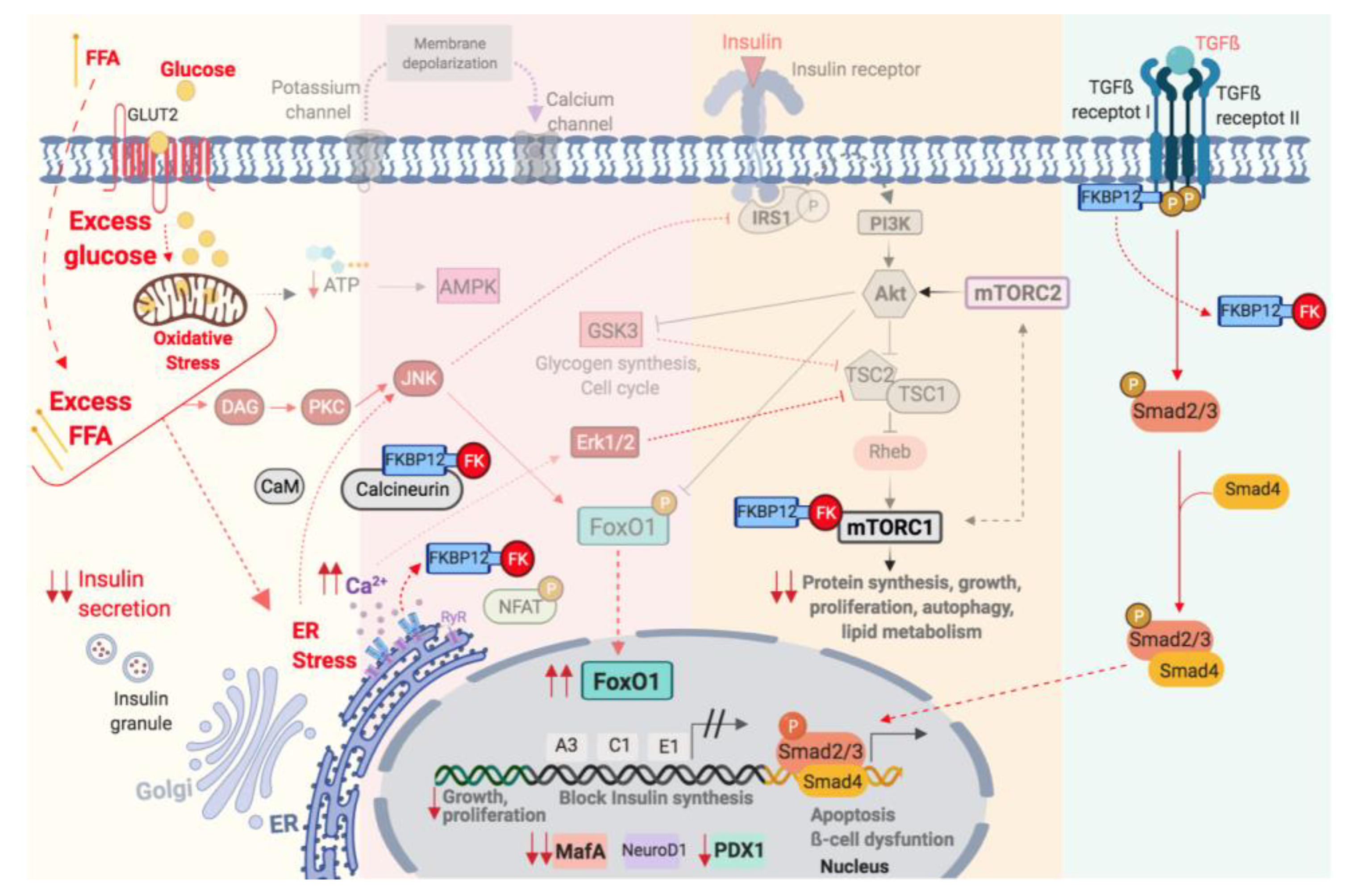 Ijms 22 10311 g003 550