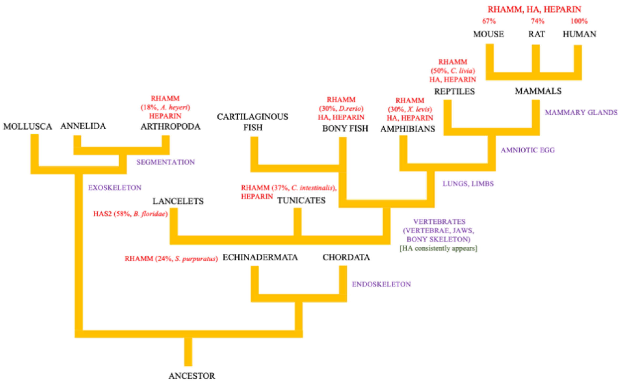 Ijms 22 10313 g001 550