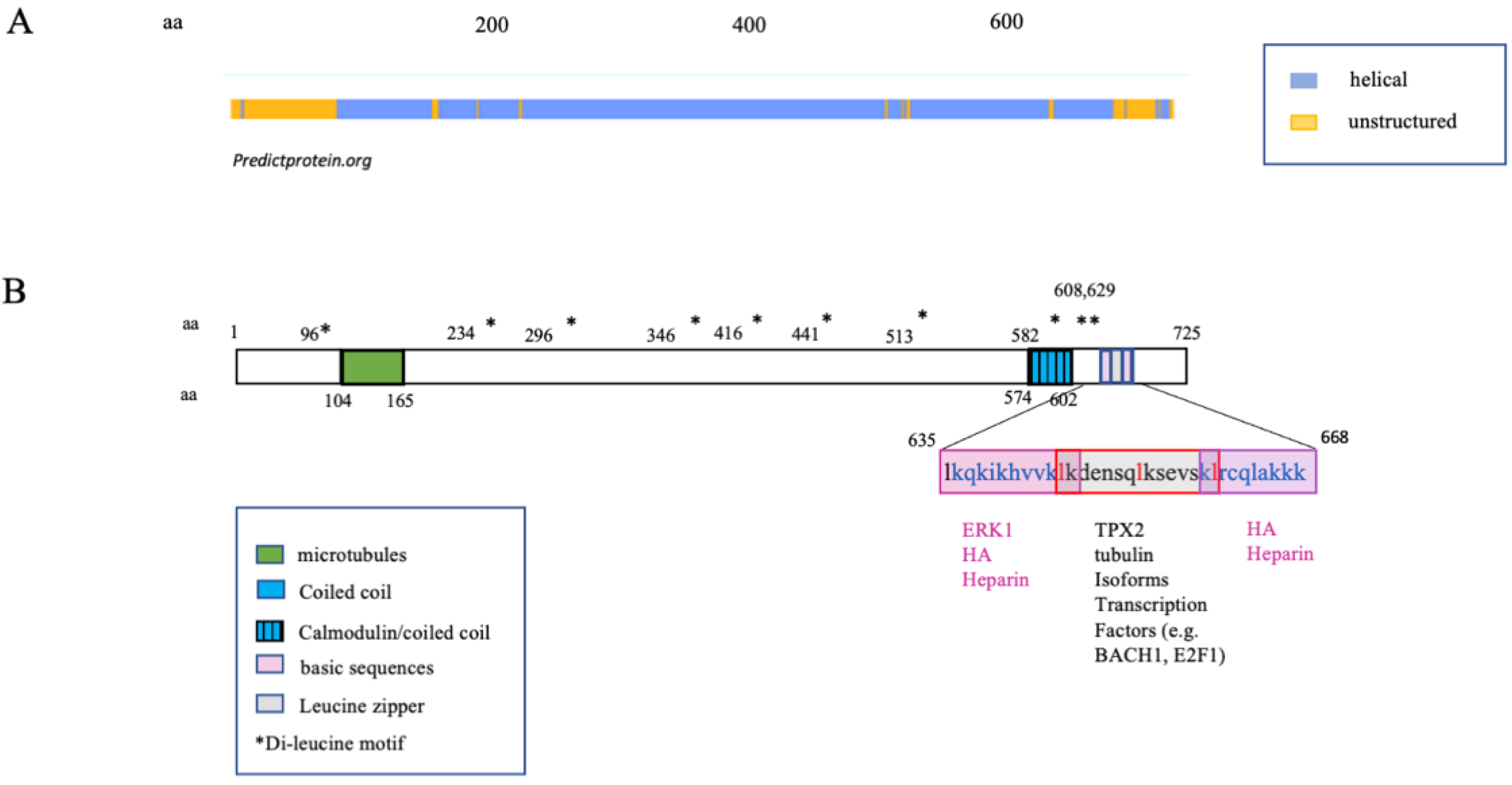 Ijms 22 10313 g002 550