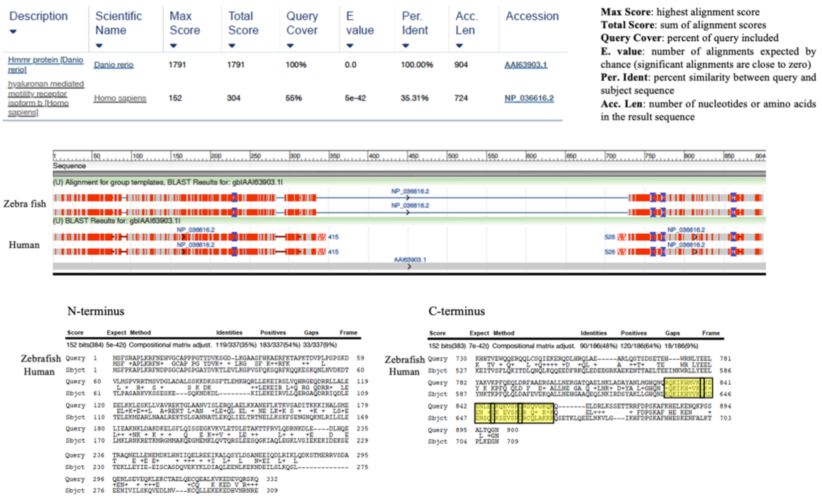 Ijms 22 10313 g004 550