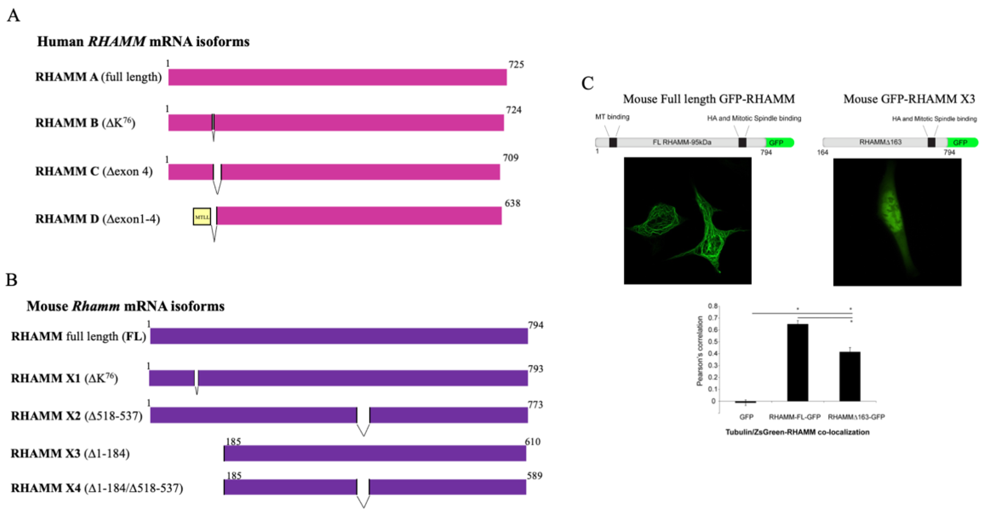 Ijms 22 10313 g005 550