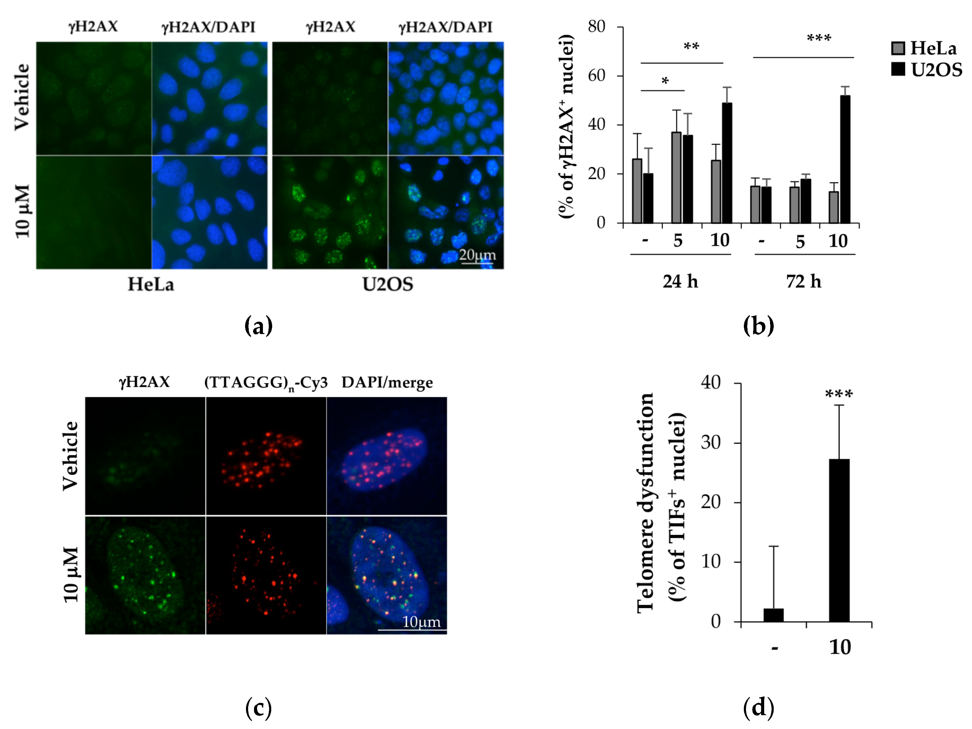 Ijms 22 10315 g009 550