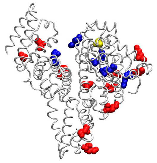 IJMS | Free Full-Text | Serum Albumin in Health and Disease 
