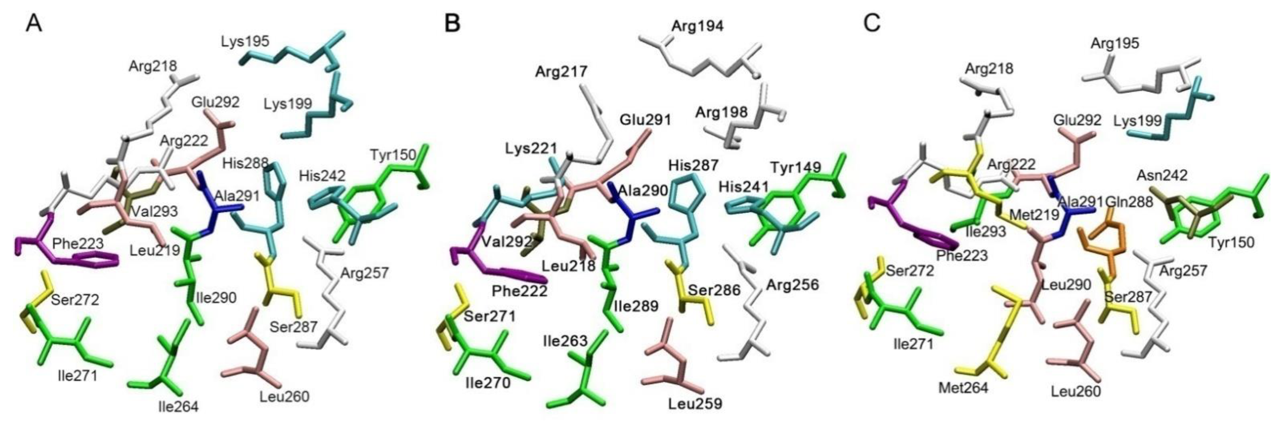 Ijms 22 10318 g002 Ijms 22 10318 g002