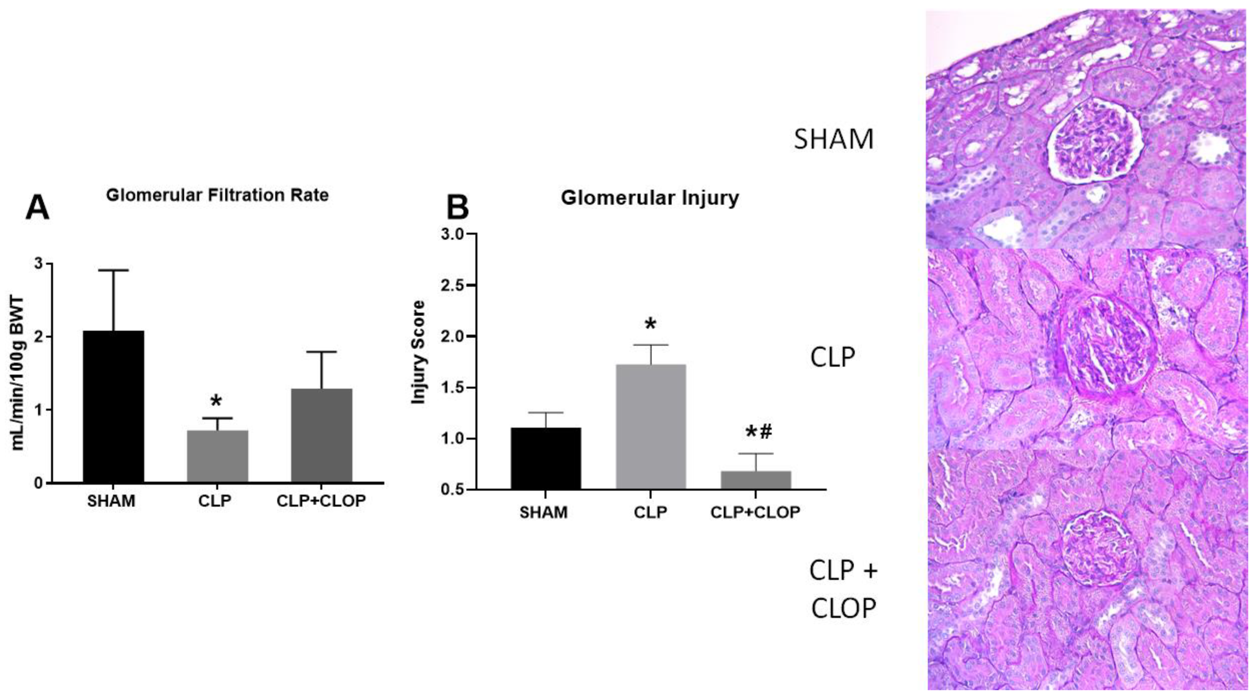 Ijms 22 10330 g006 Ijms 22 10330 g006