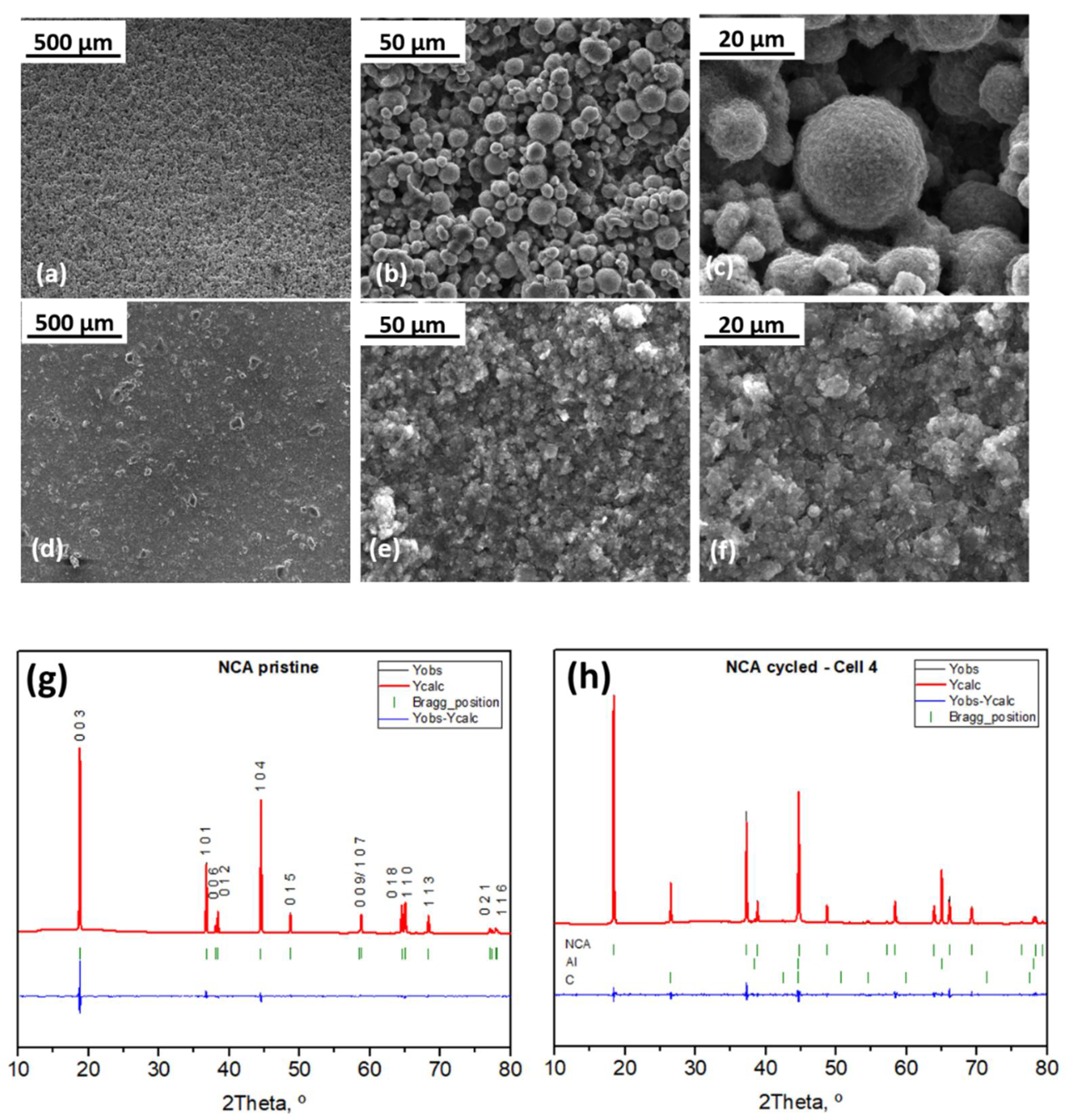 Ijms 22 10331 g006 550