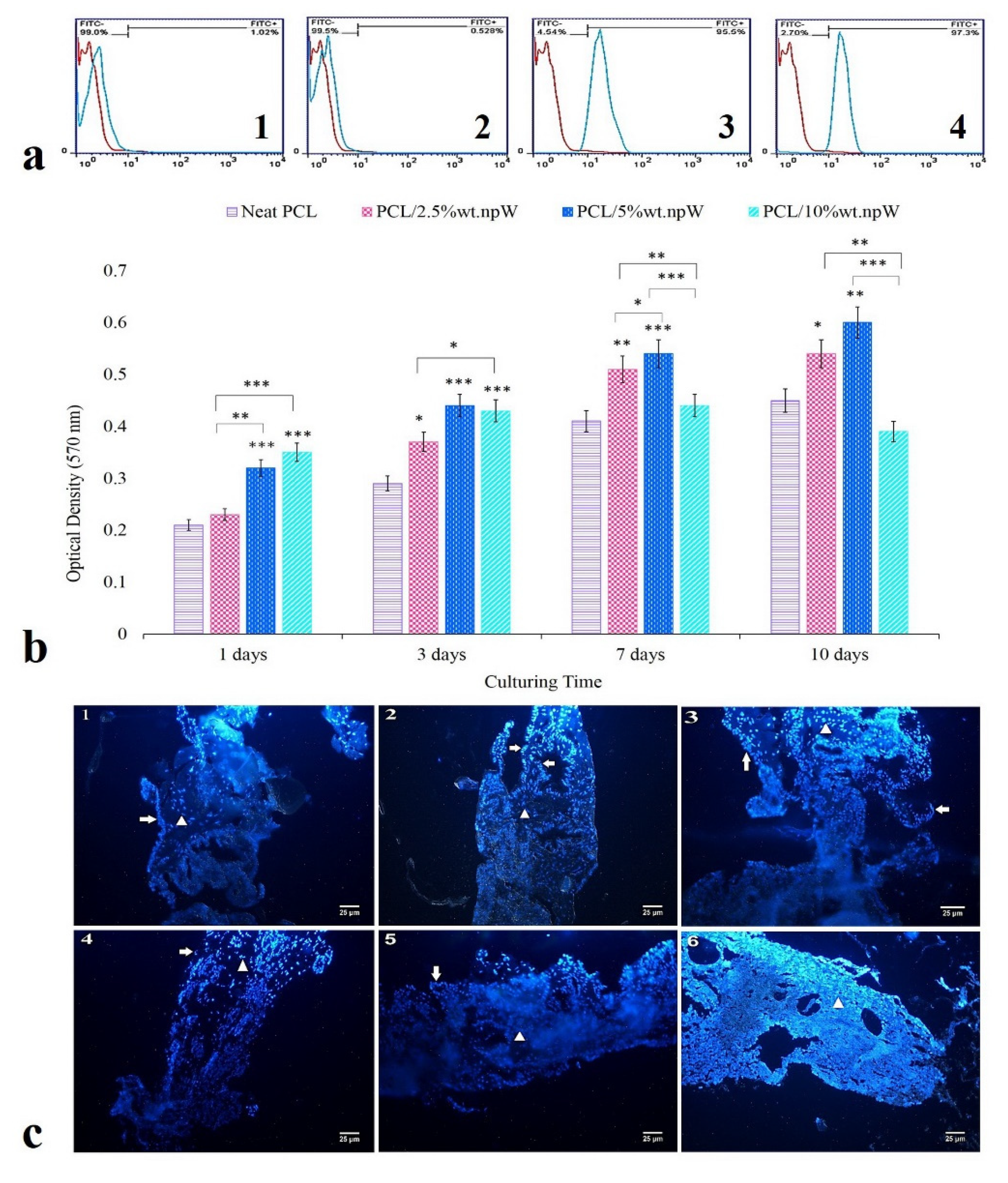 Ijms 22 10332 g004 550