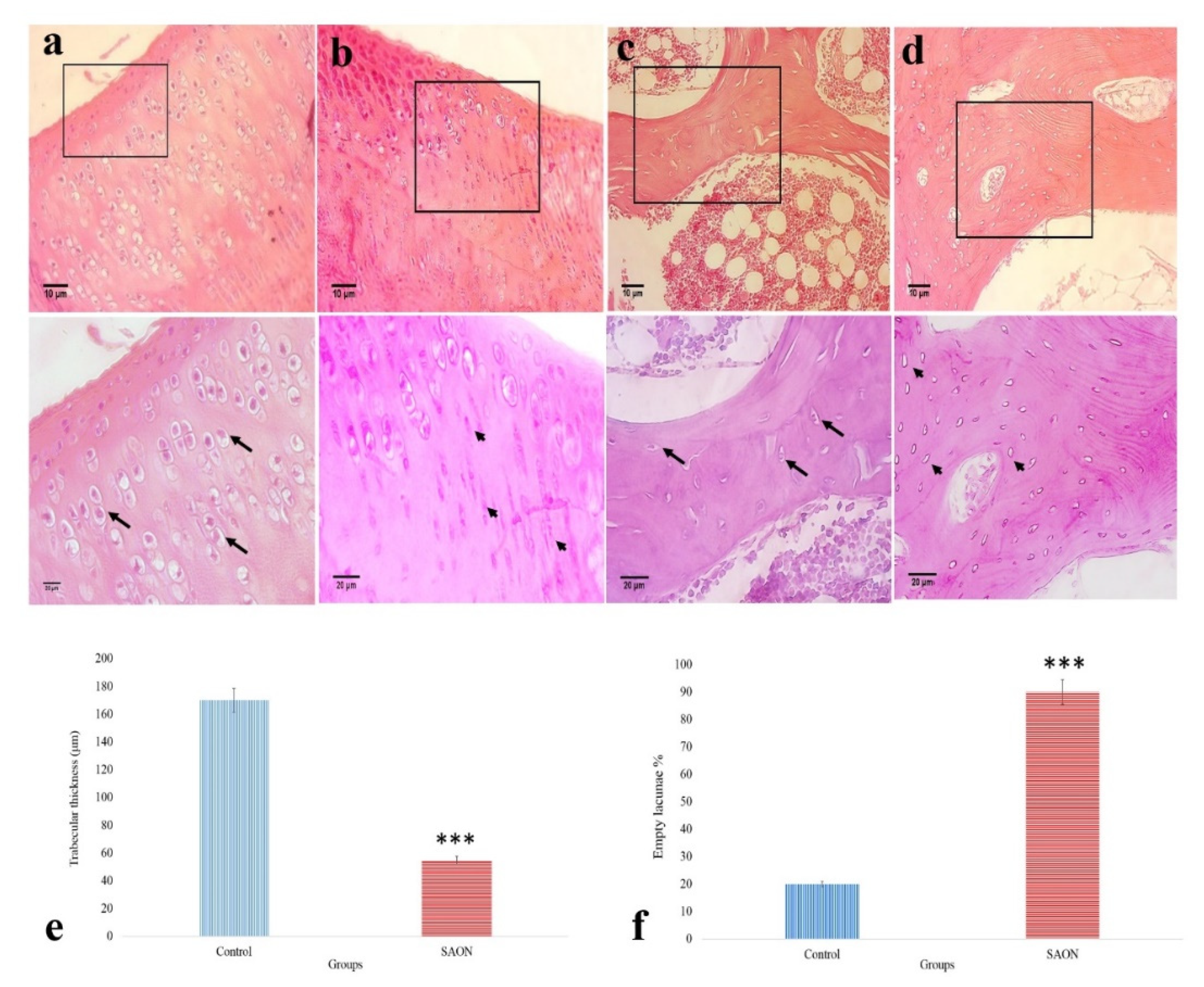 Ijms 22 10332 g006 550