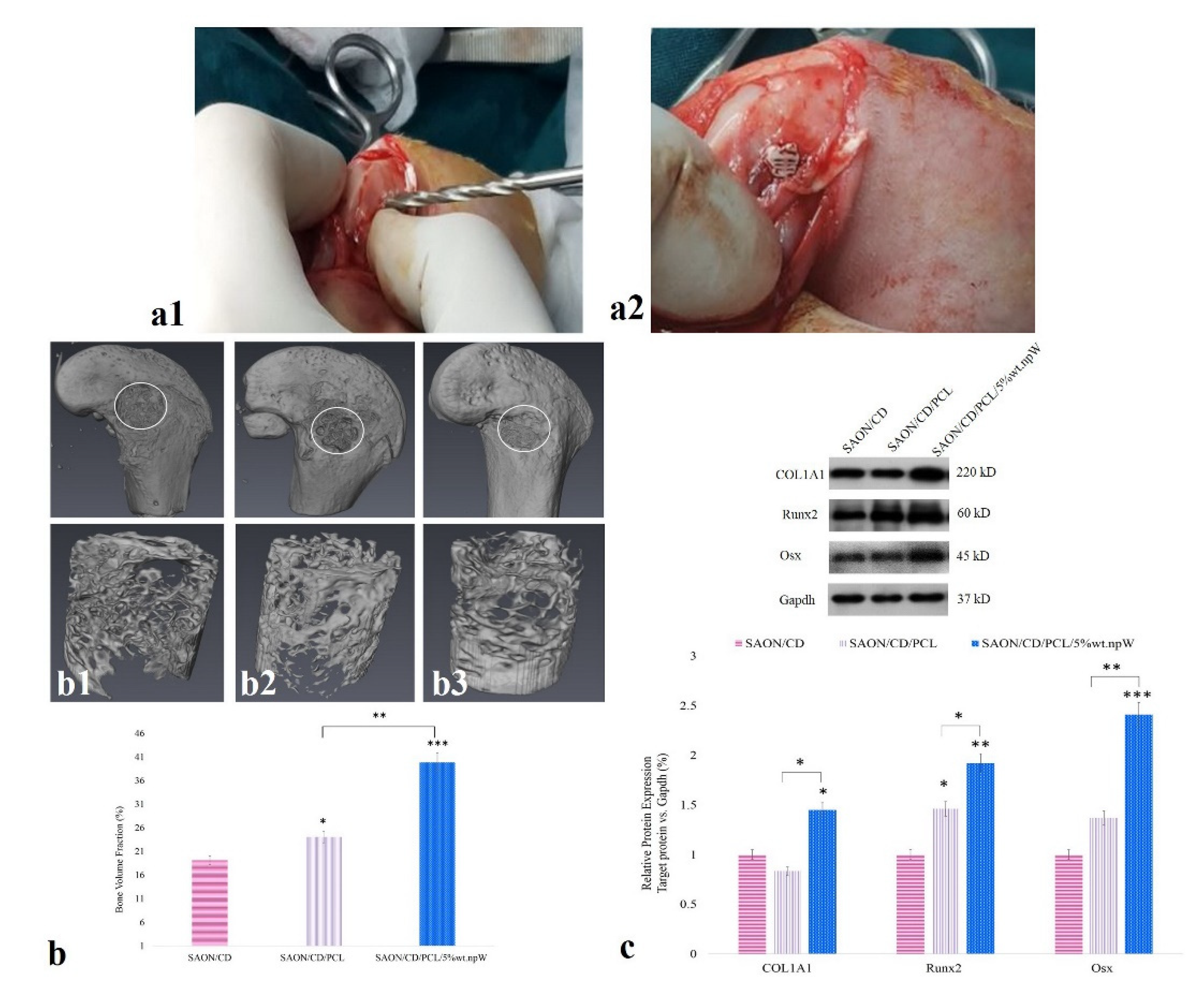 Ijms 22 10332 g007 550