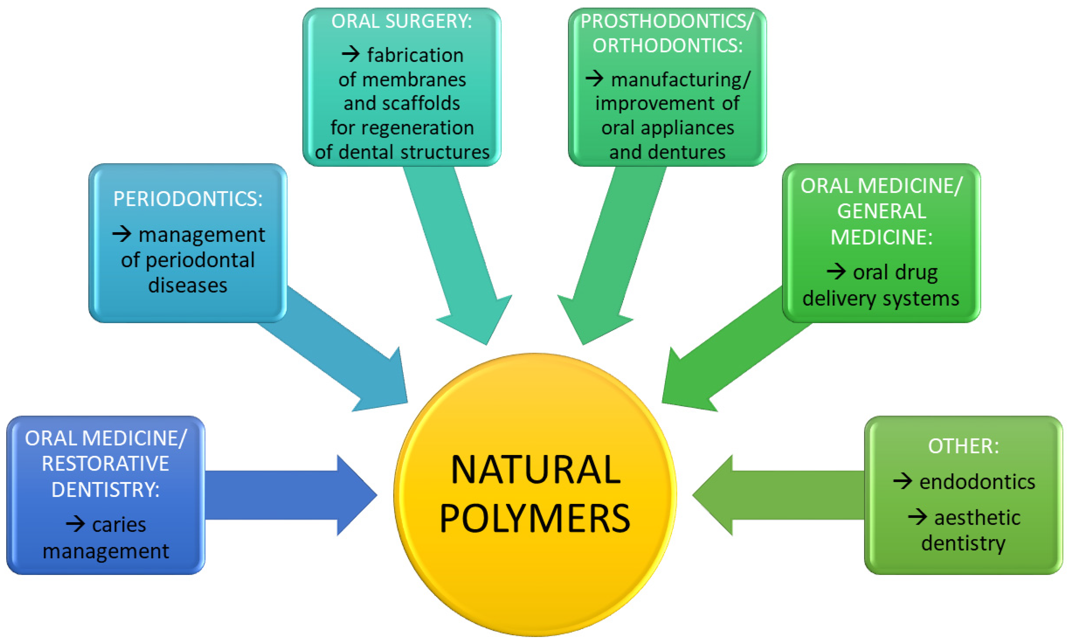 Ijms 22 10337 g003 Ijms 22 10337 g003