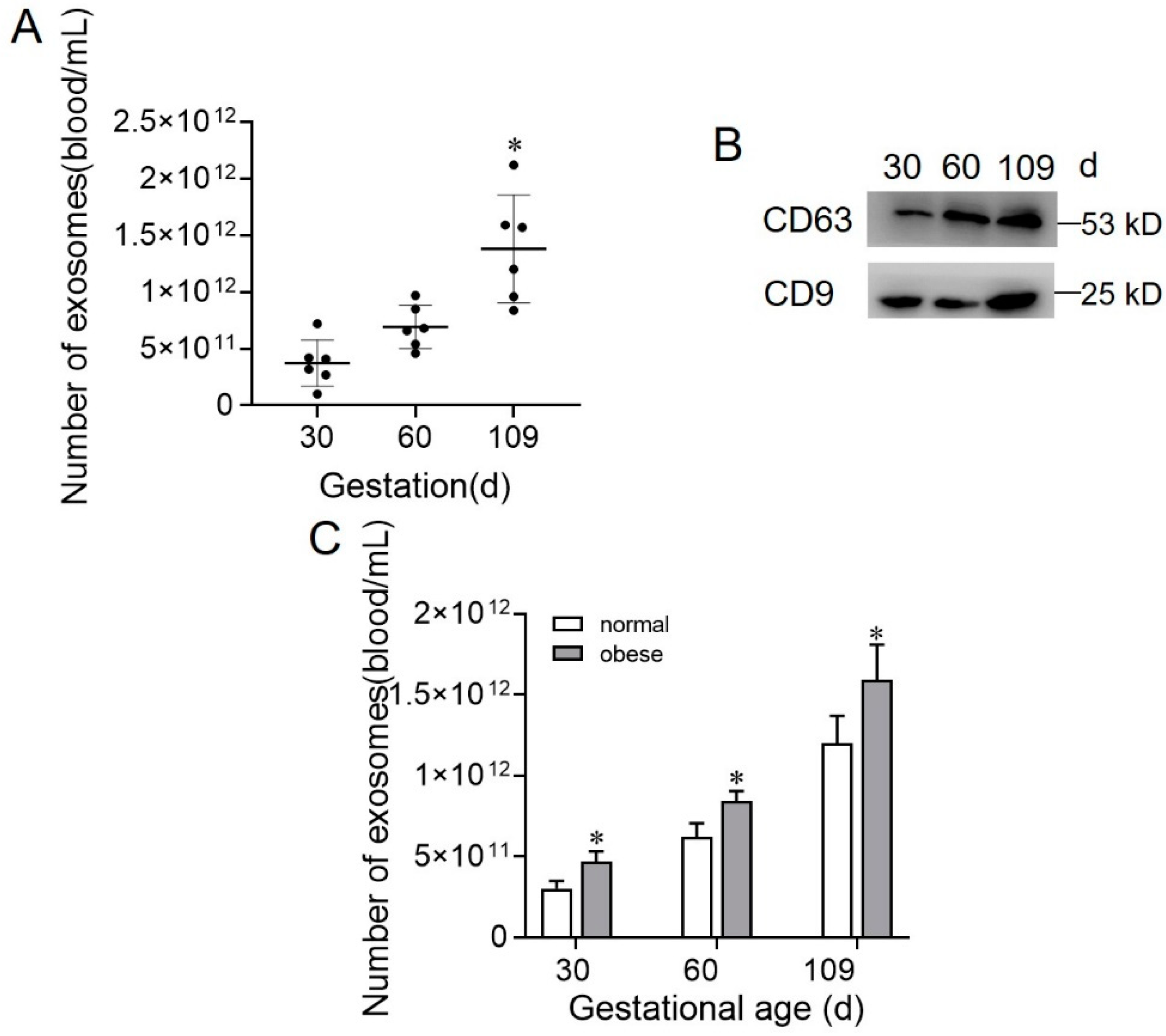 Ijms 22 10343 g002 550
