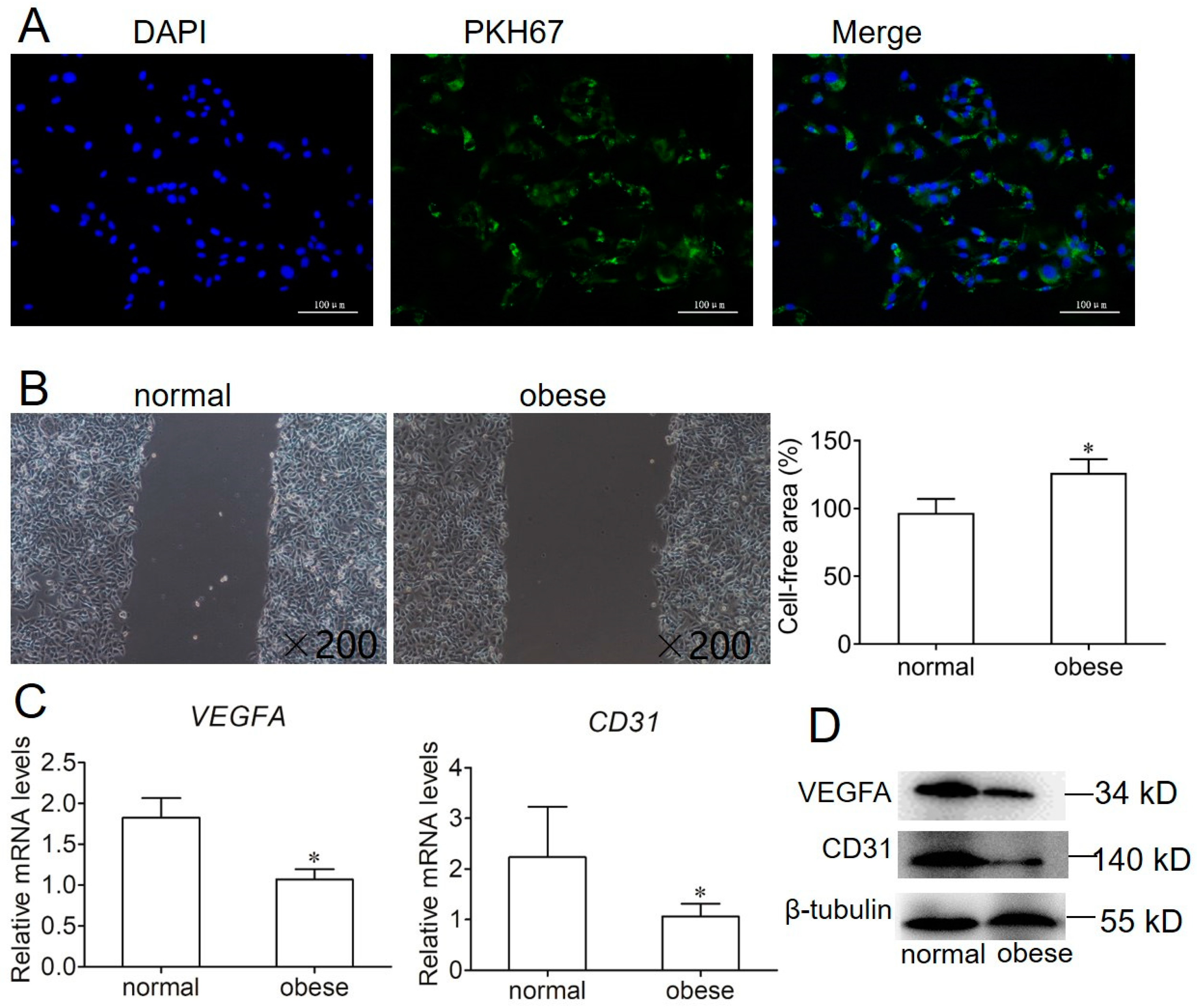 Ijms 22 10343 g003 550