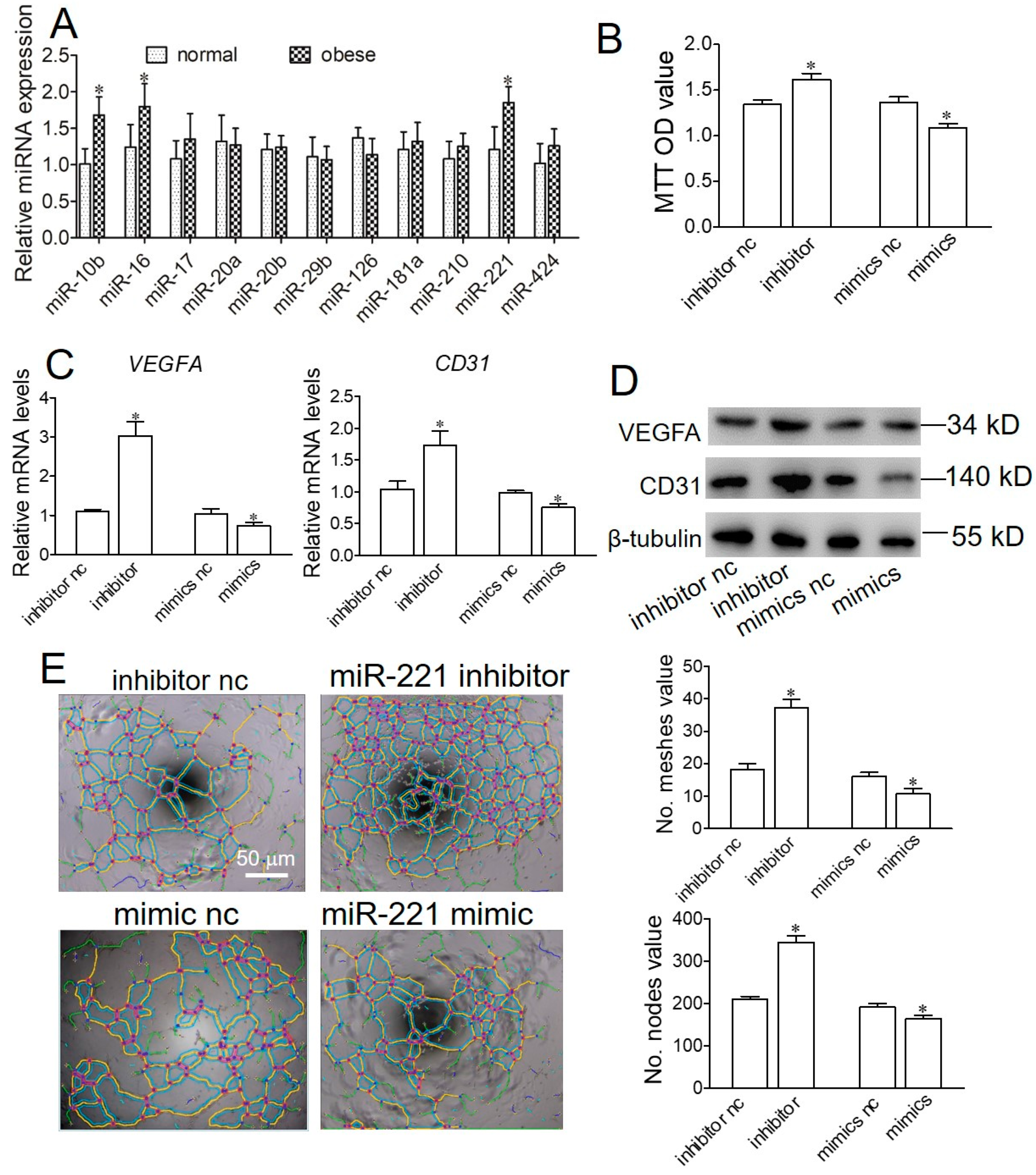 Ijms 22 10343 g004 550
