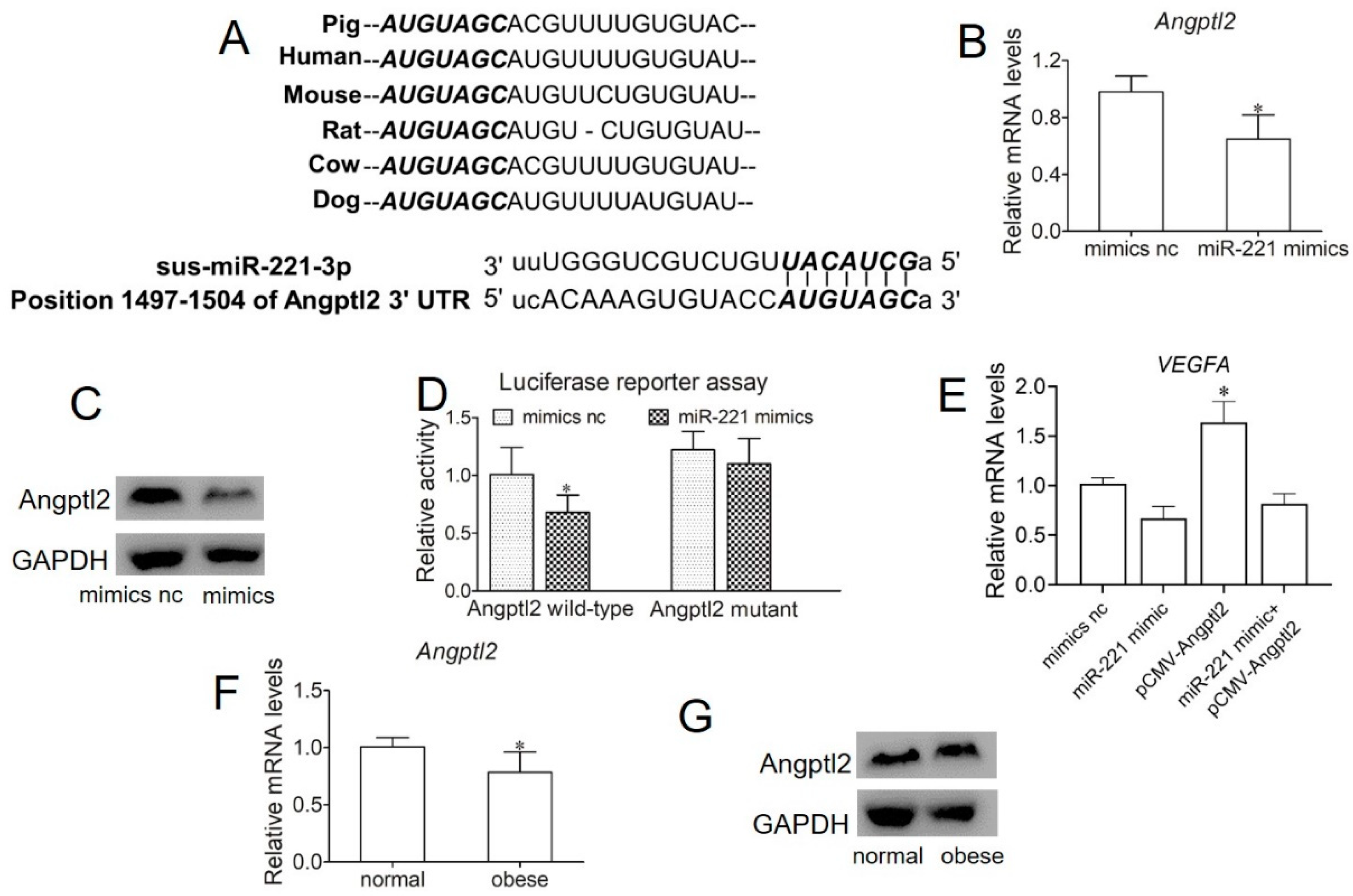 Ijms 22 10343 g005 550