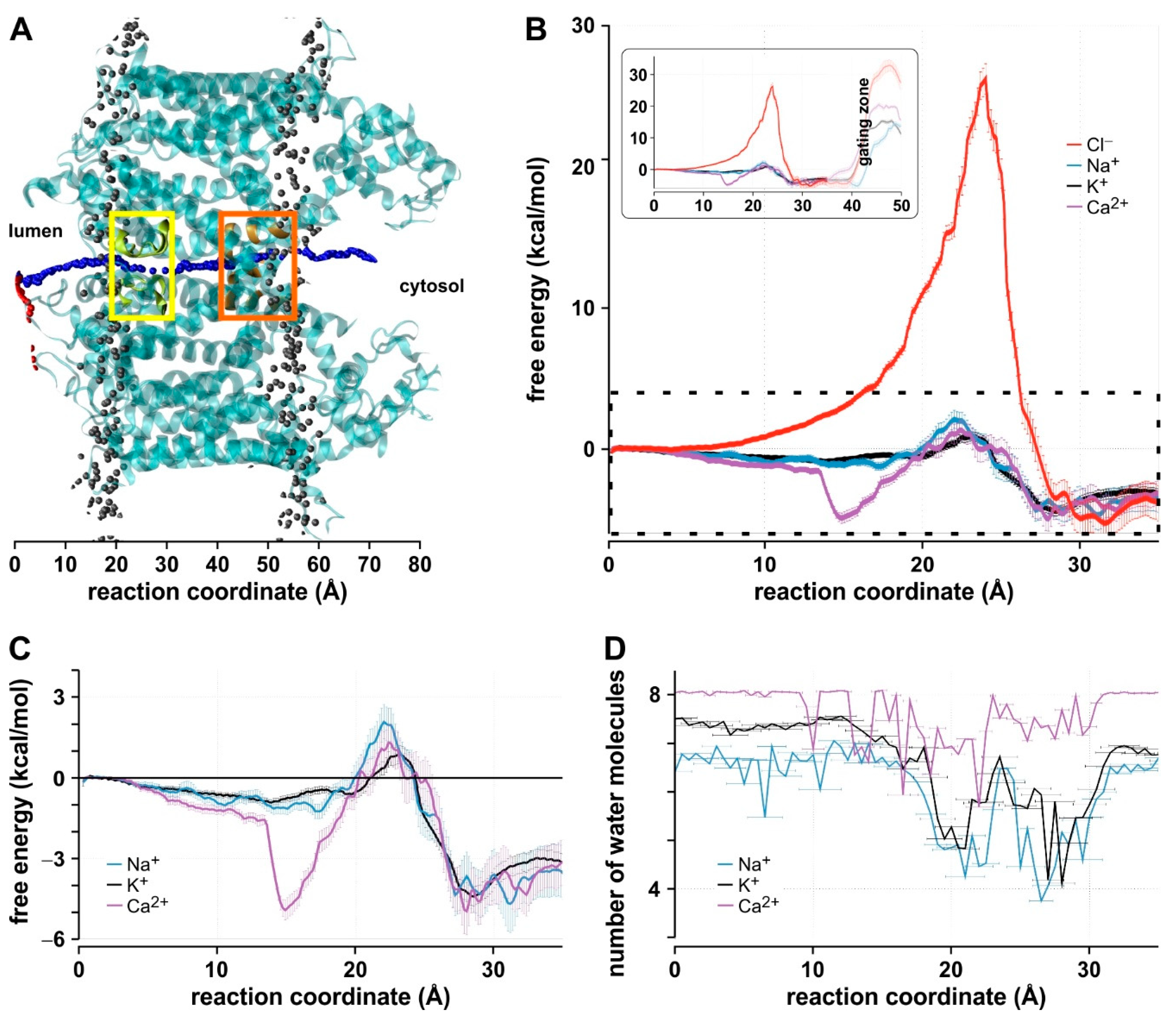 Ijms 22 10345 g002 550