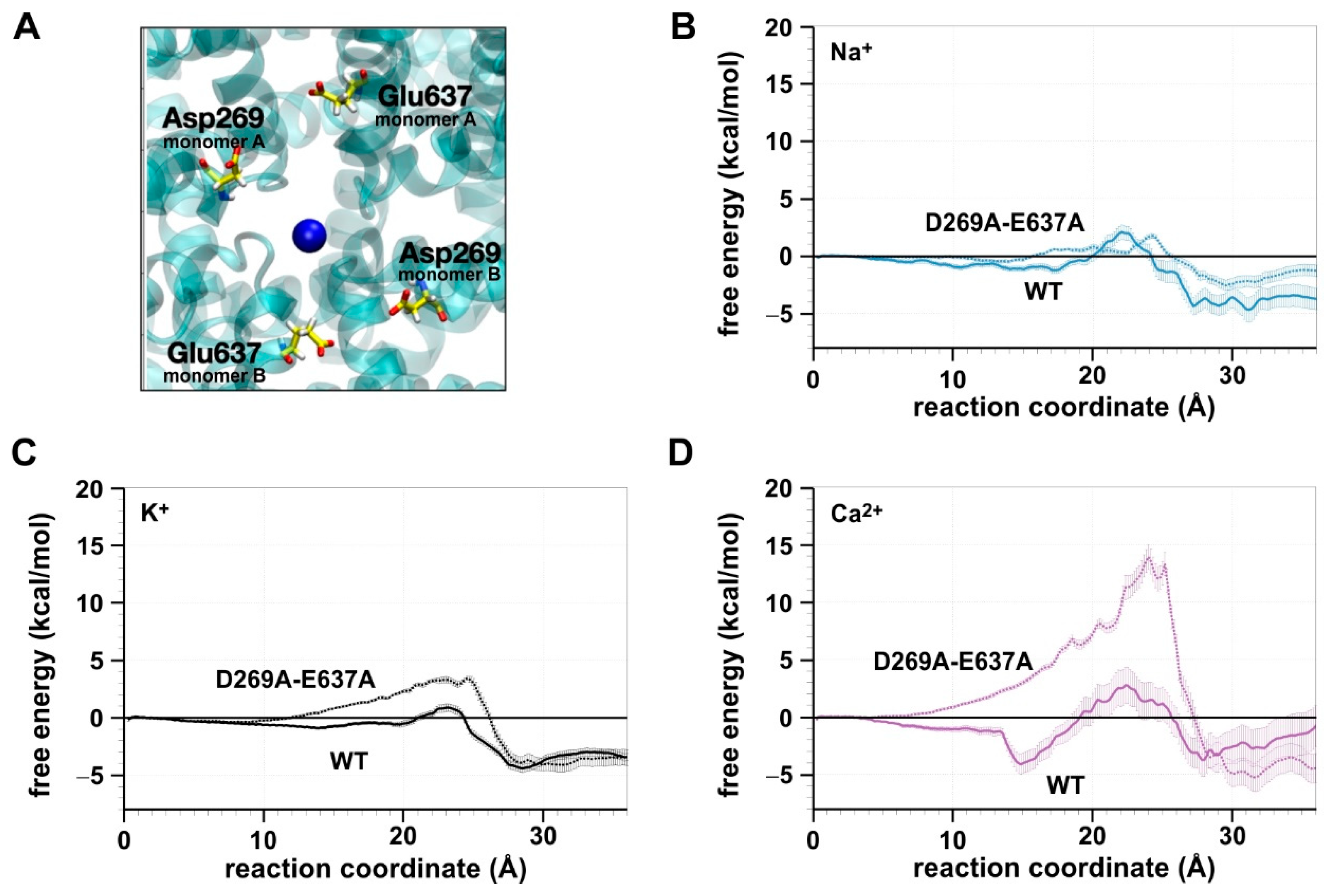 Ijms 22 10345 g003 550