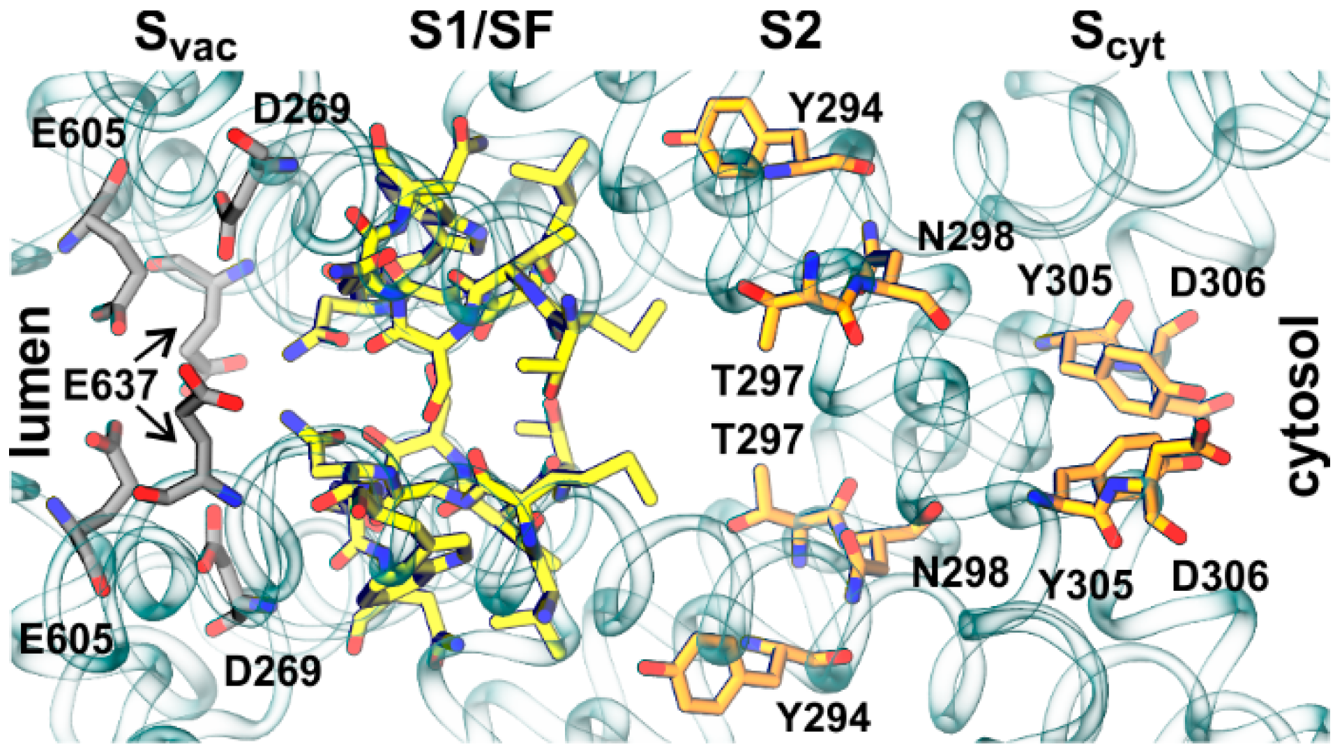 Ijms 22 10345 g005 550