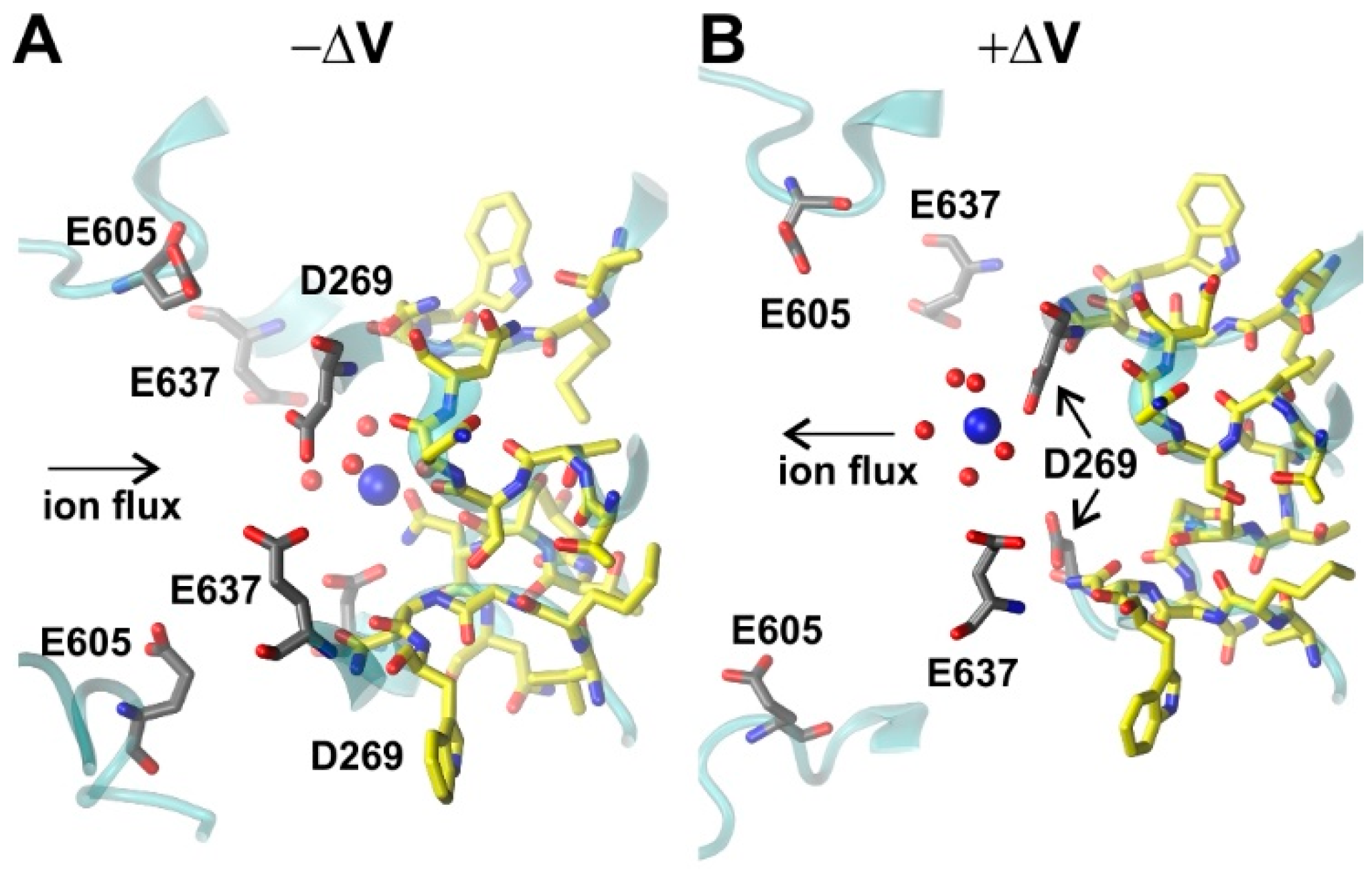 Ijms 22 10345 g006 550